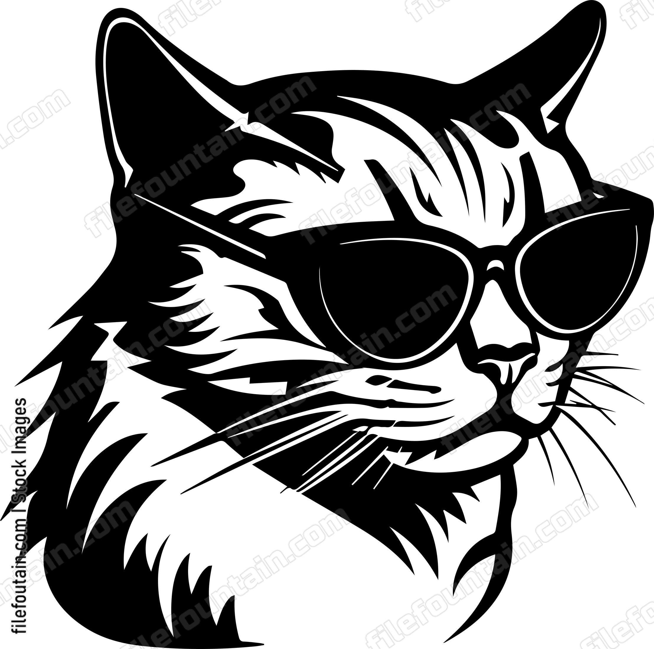 Cool Cat In Sunglasses