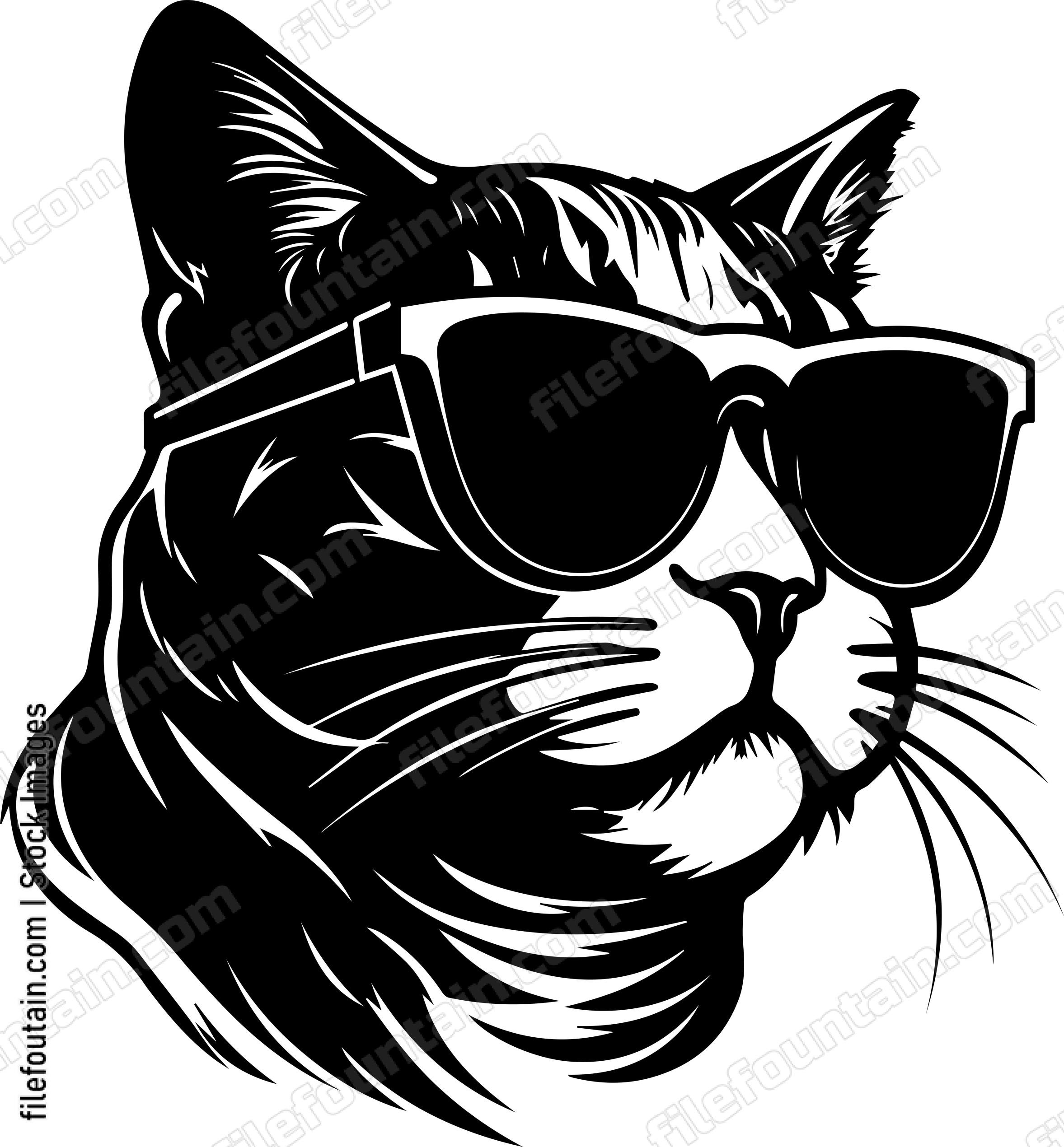 Cool Cat In Sunglasses