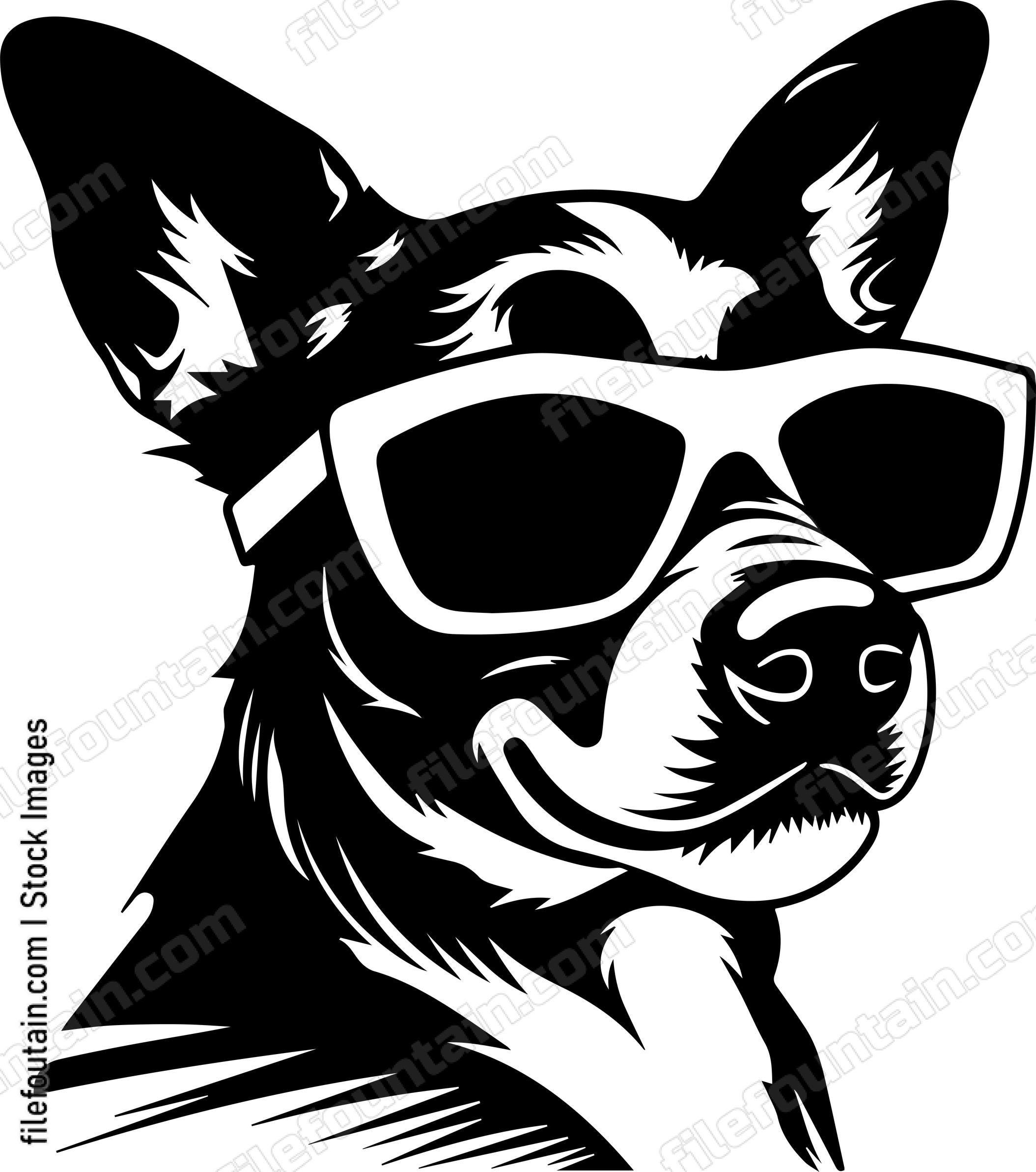 Cool Dog In Sunglasses