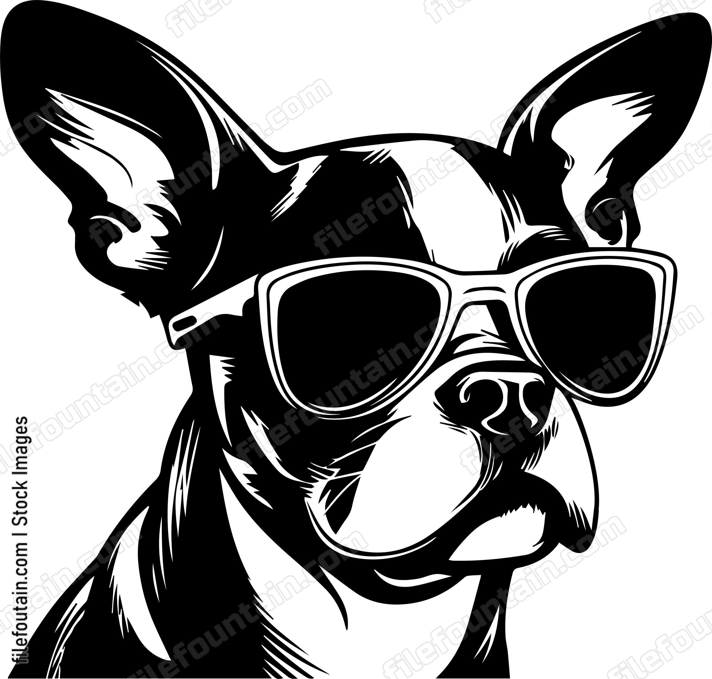 Cool Dog In Sunglasses
