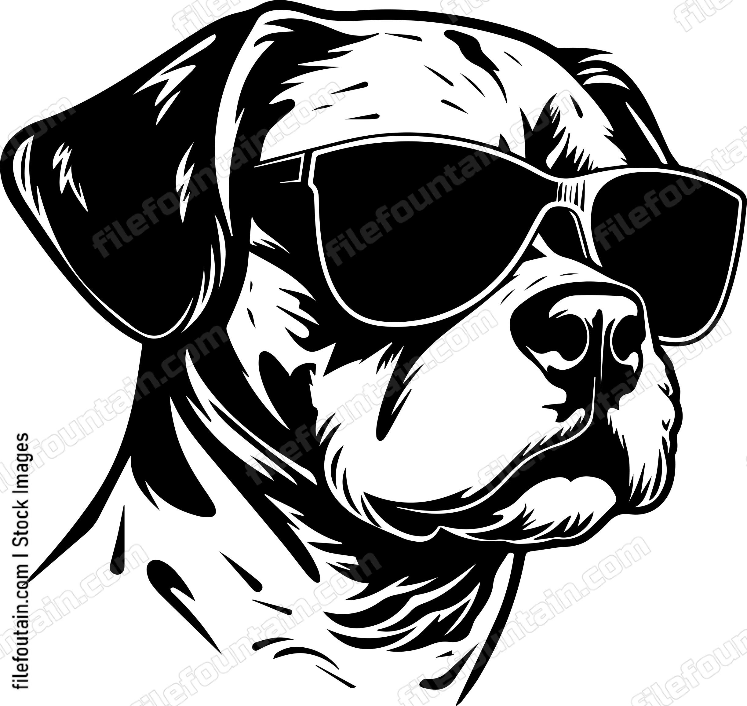 Cool Dog In Sunglasses