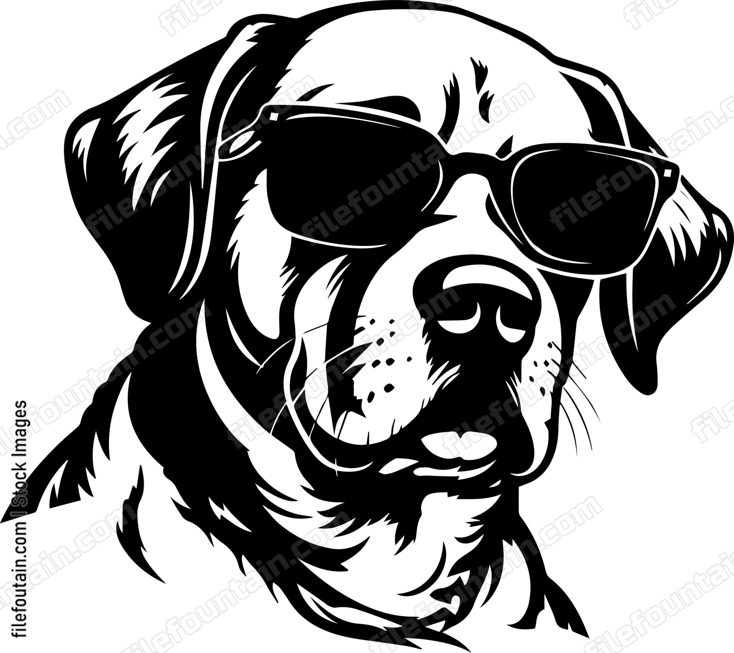 Cool Dog In Sunglasses