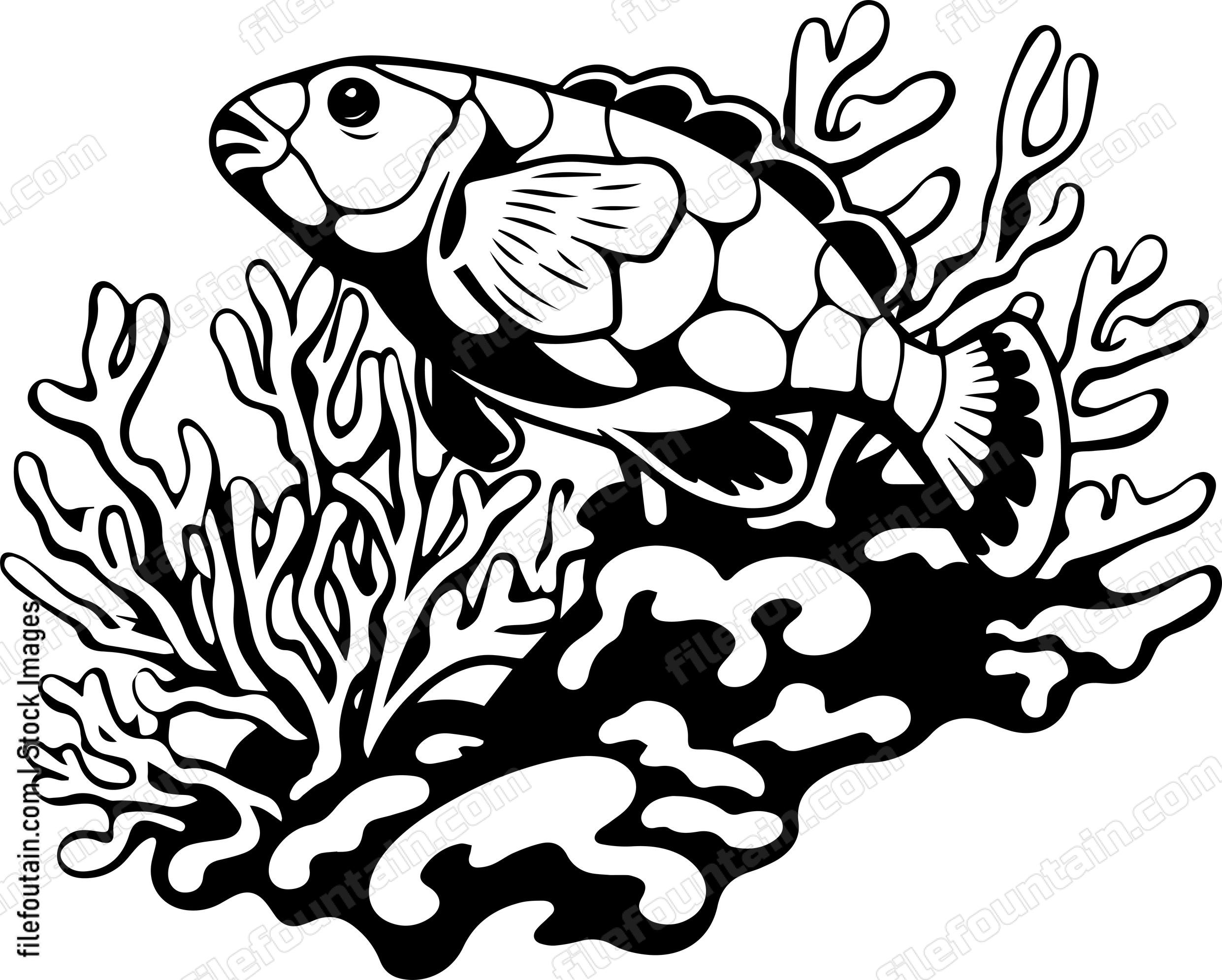 Coral Reefs
