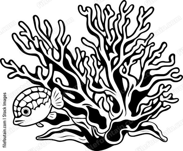 Coral Reefs