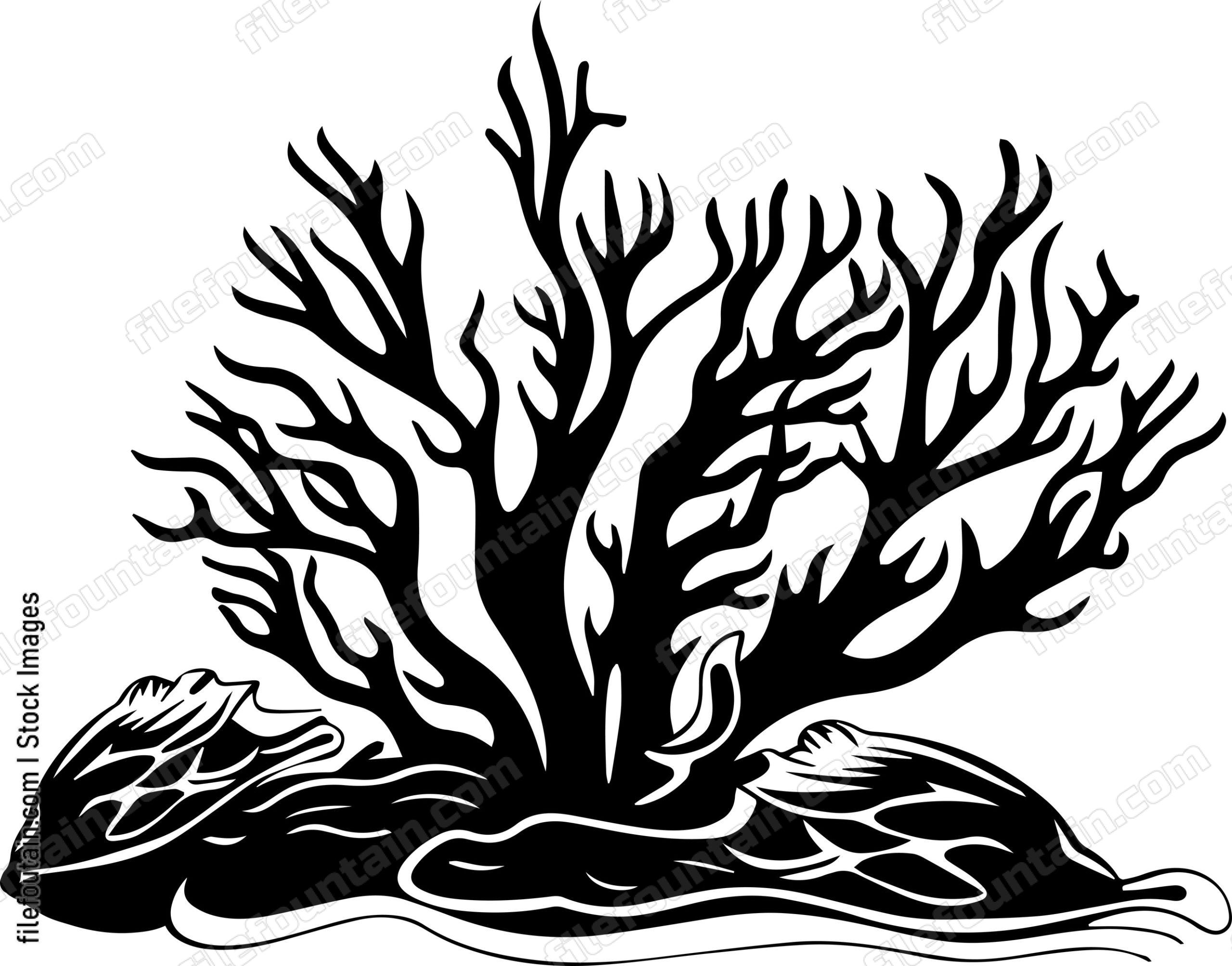 Coral Reefs