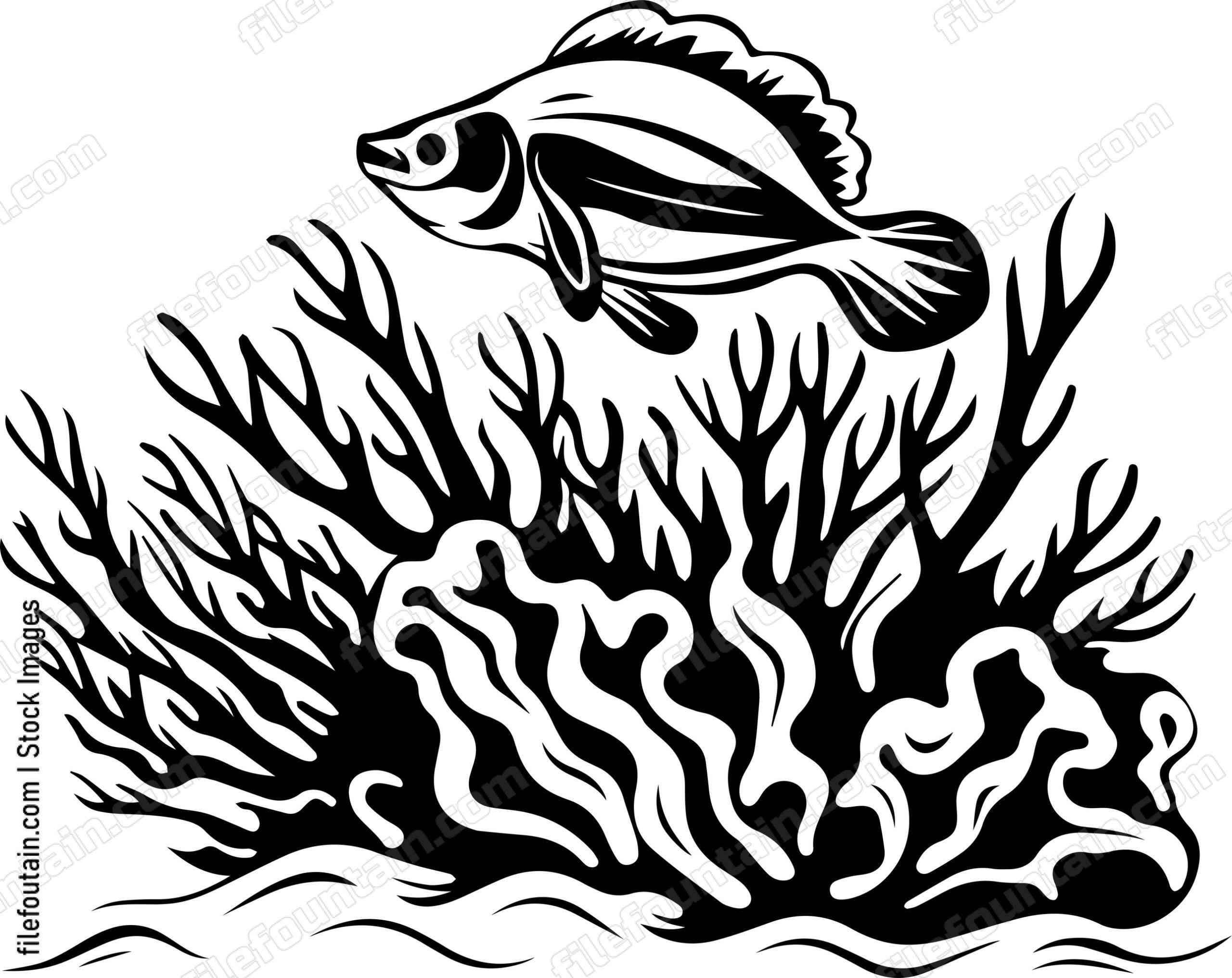 Coral Reefs