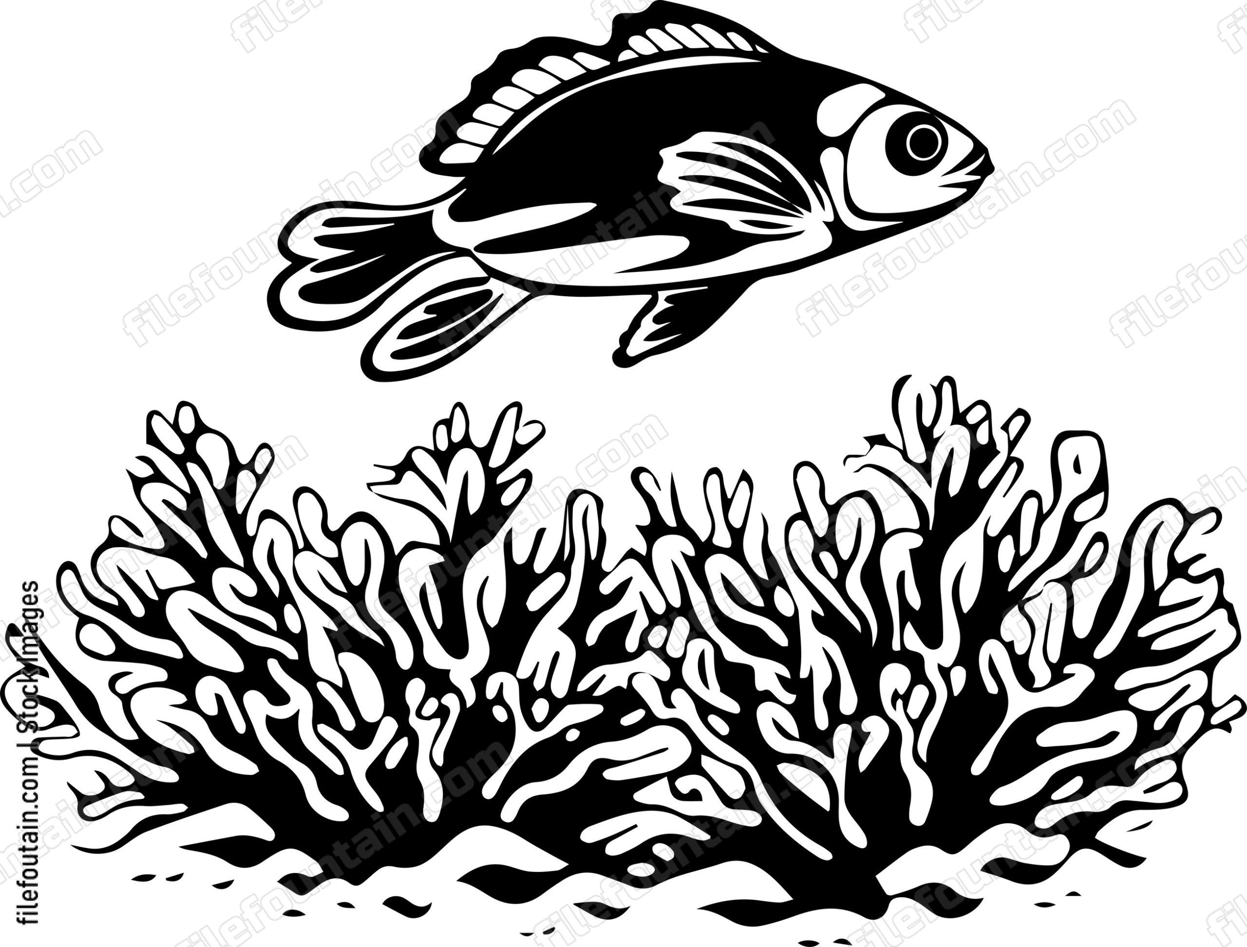 Coral Reefs