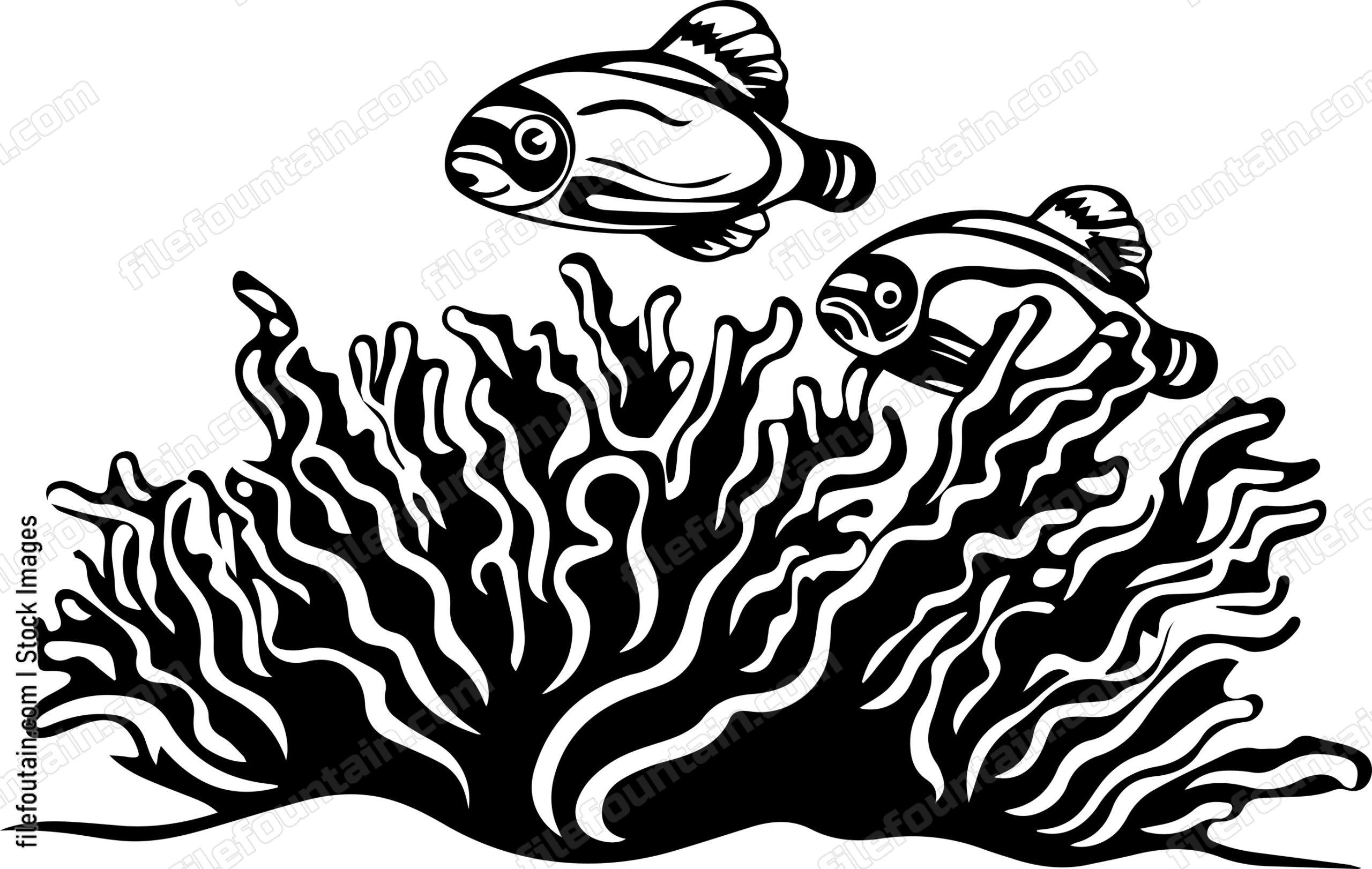 Coral Reefs