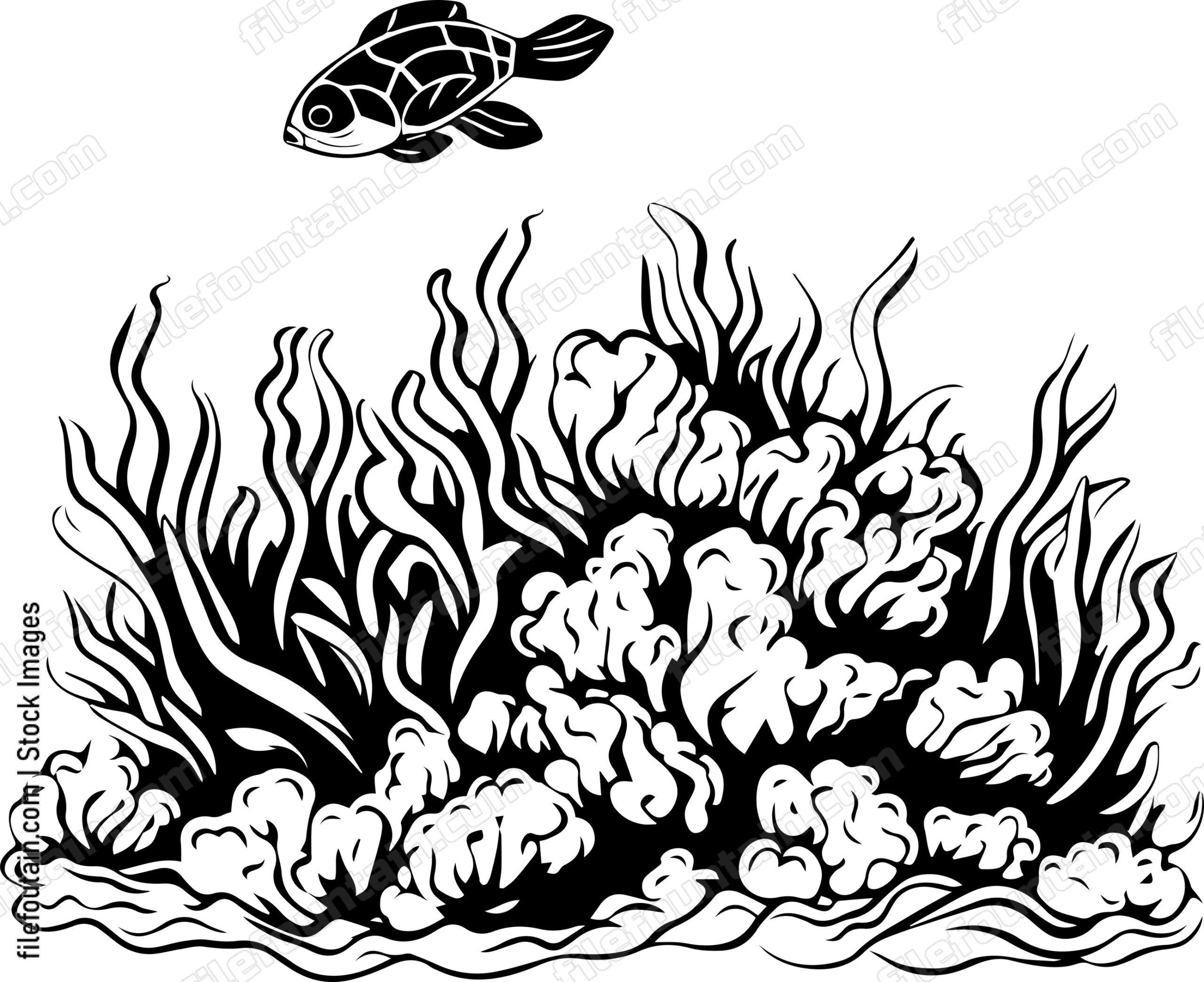 Coral Reefs