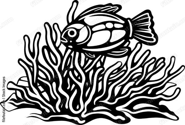 Coral Reefs