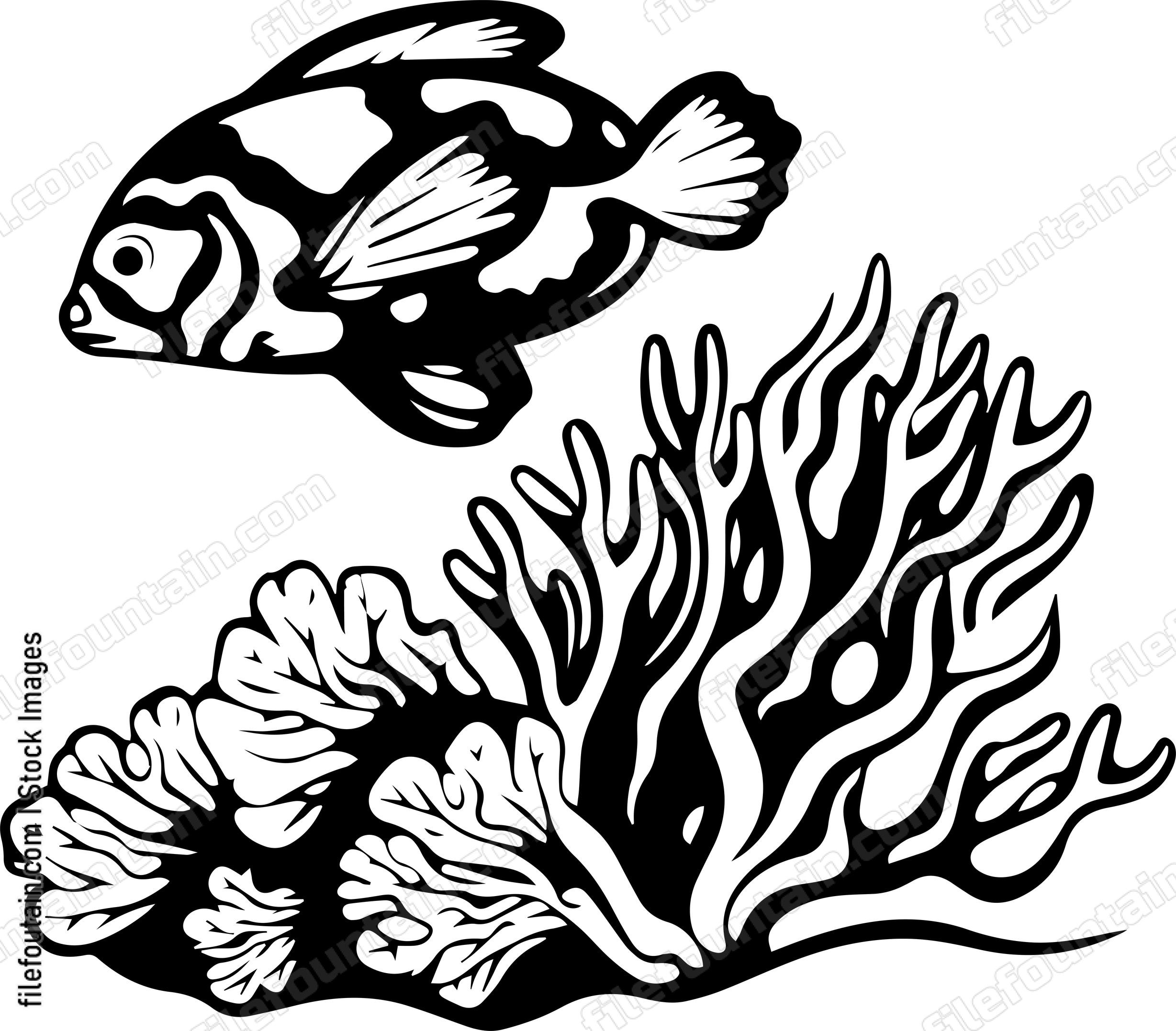 Coral Reefs