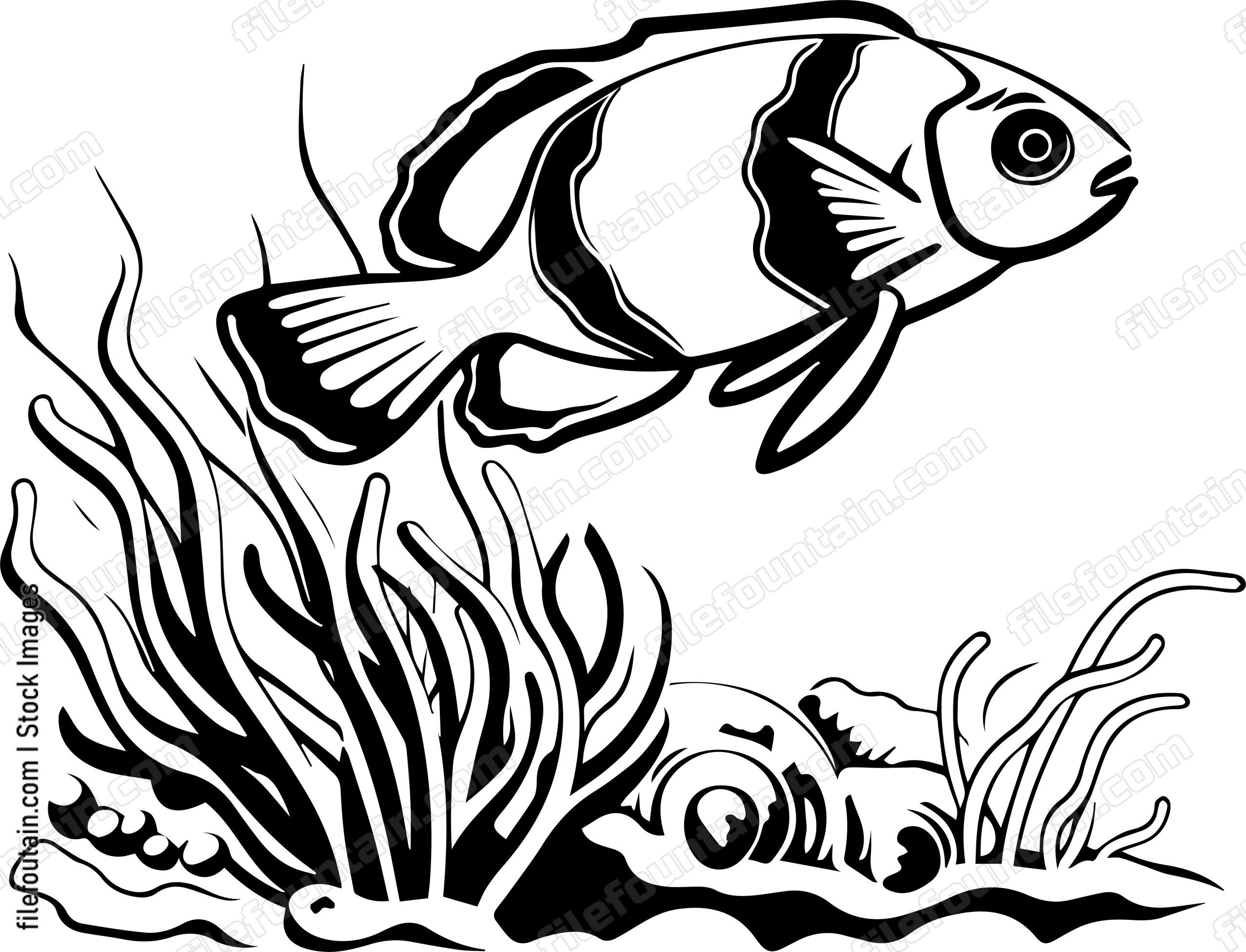 Coral Reefs
