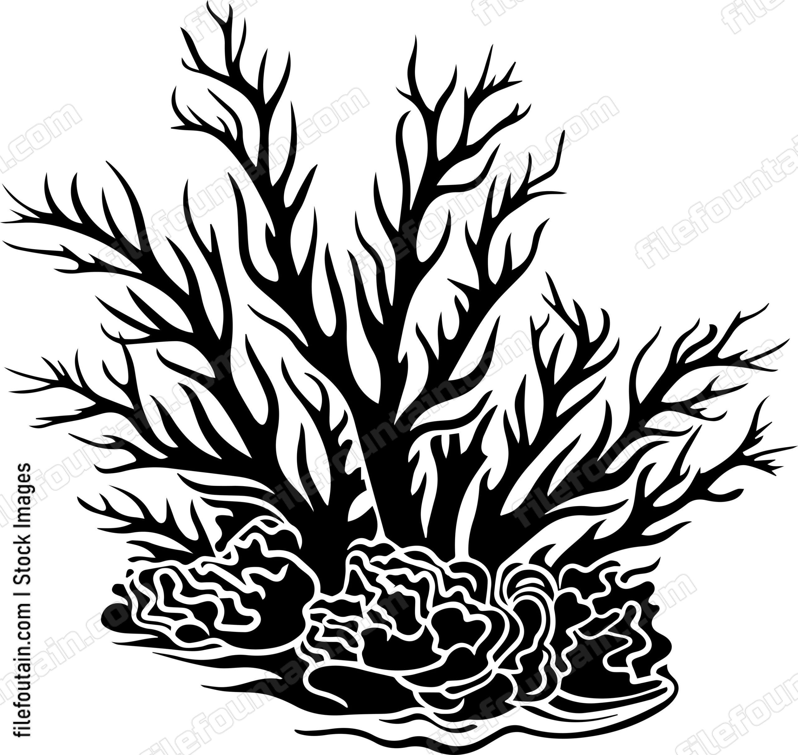 Coral Reefs