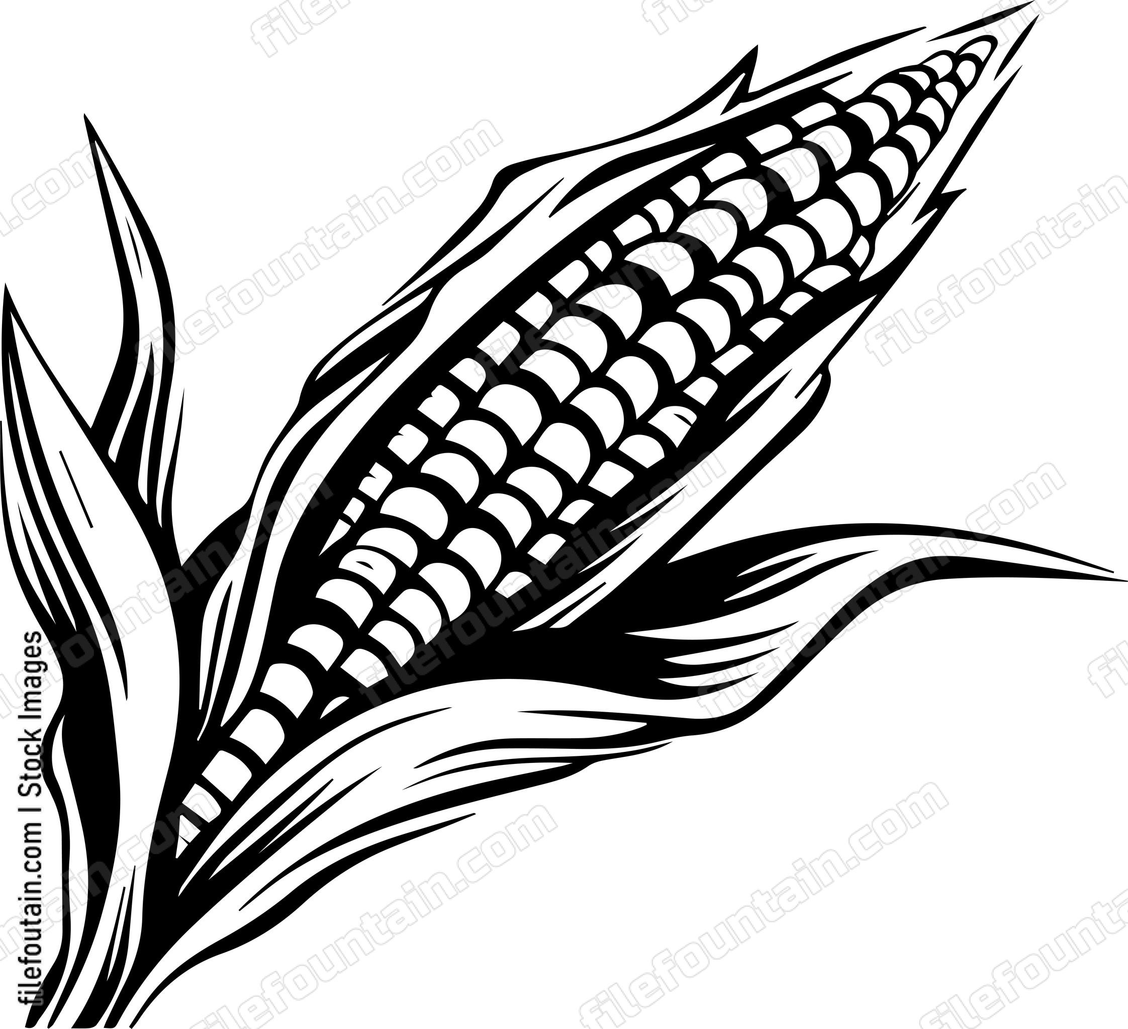 Corn