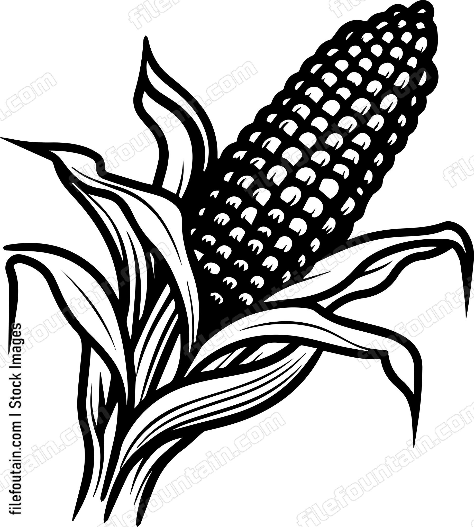 Corn