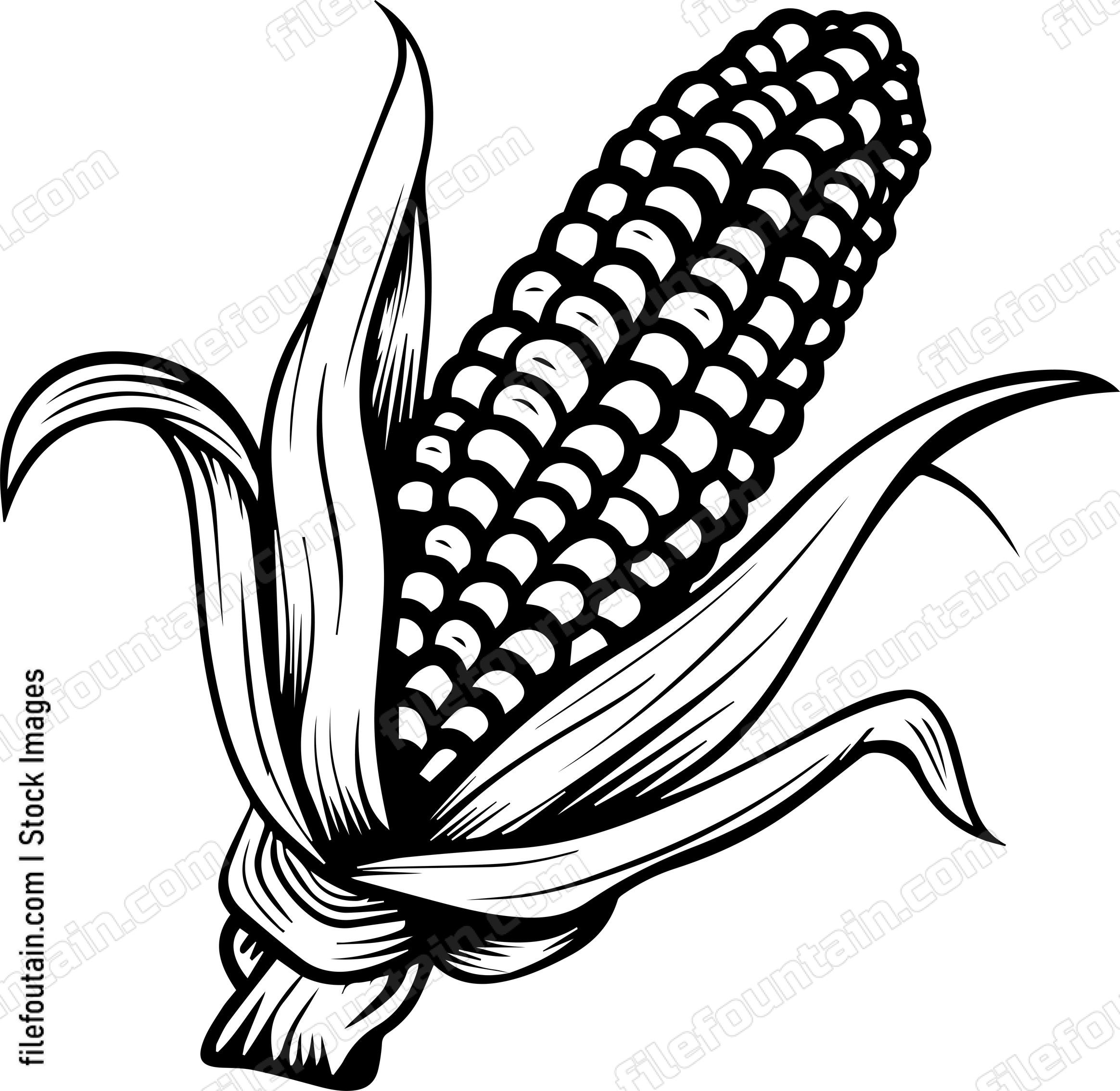 Corn