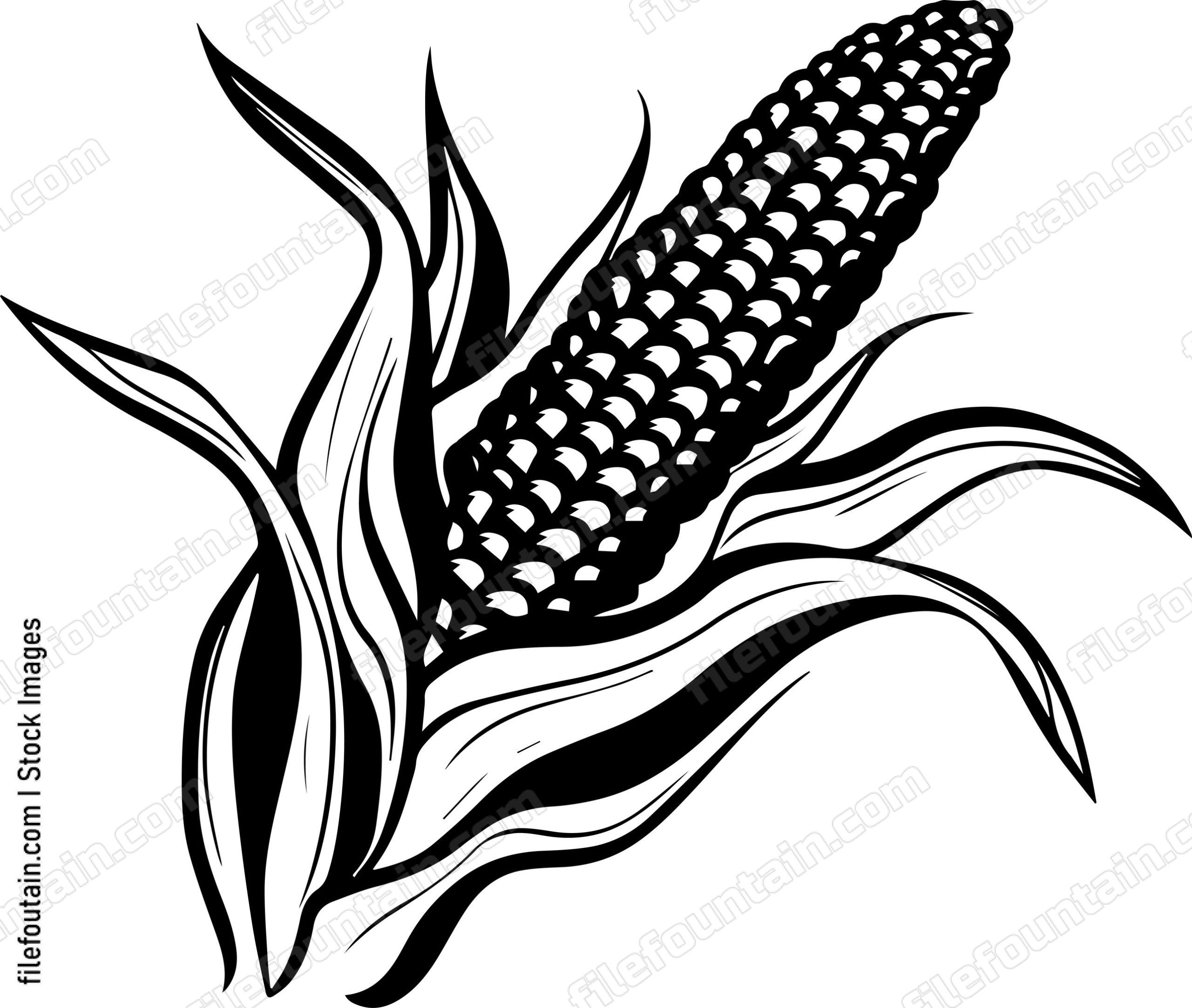 Corn