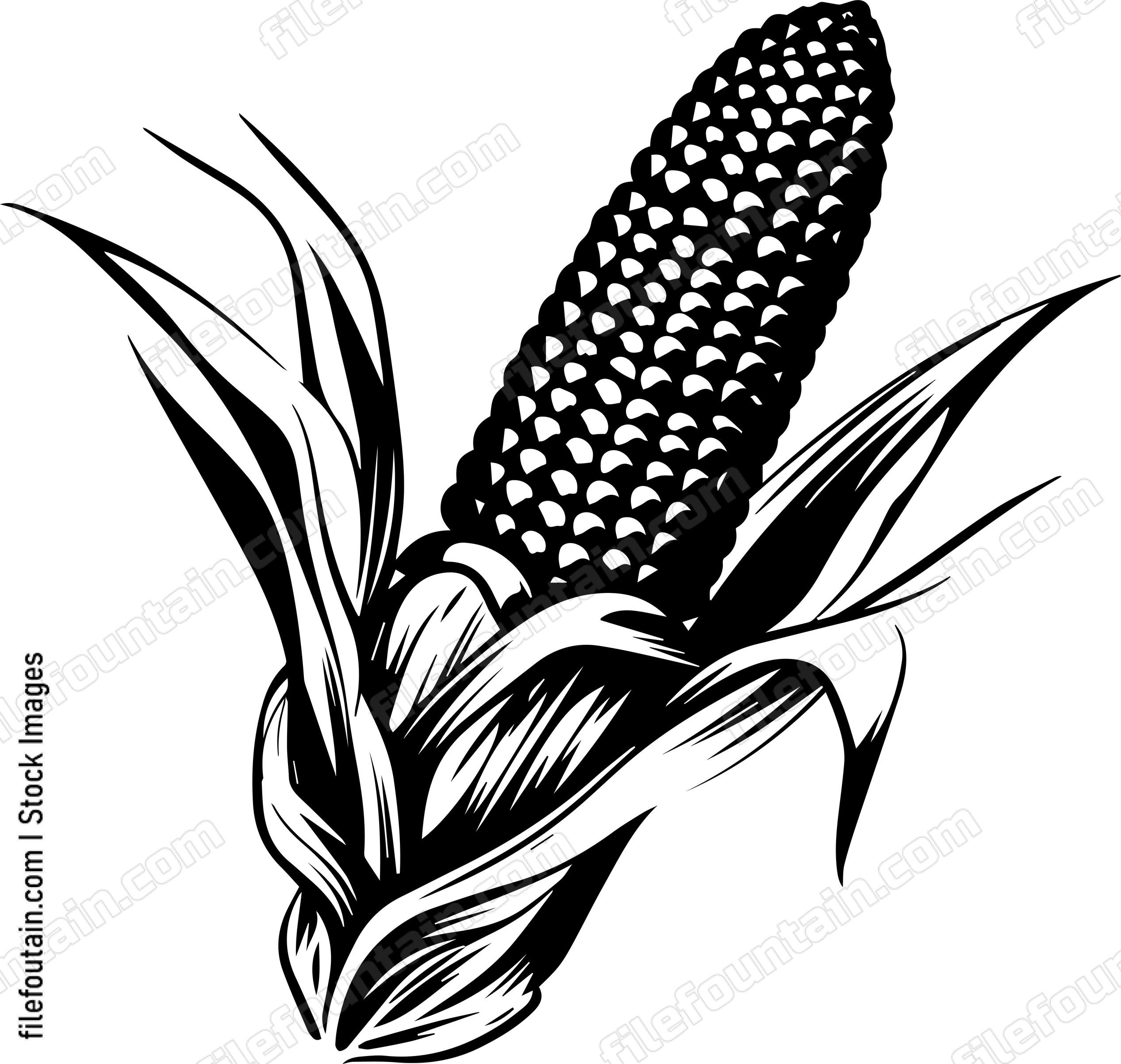 Corn