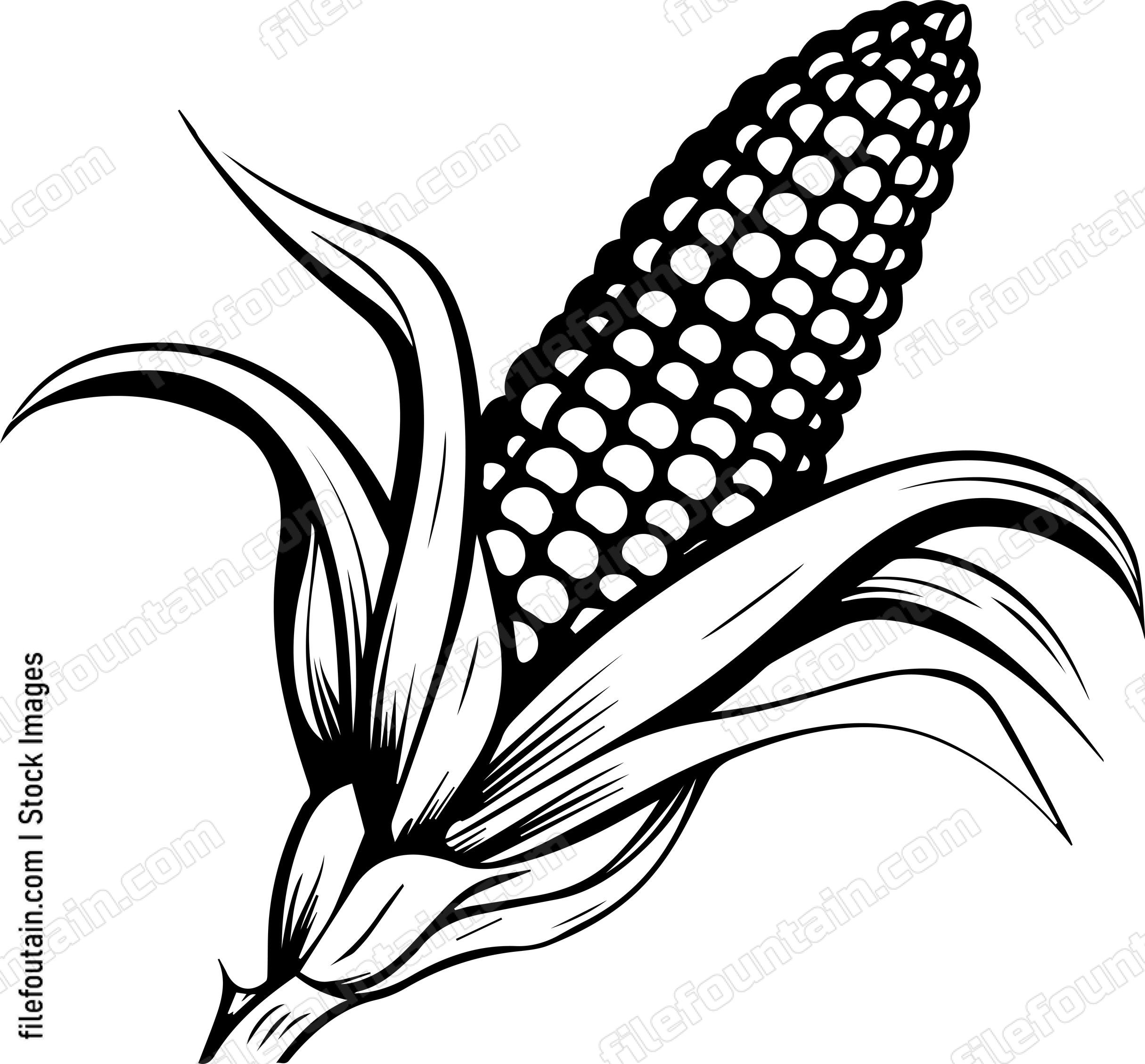 Corn