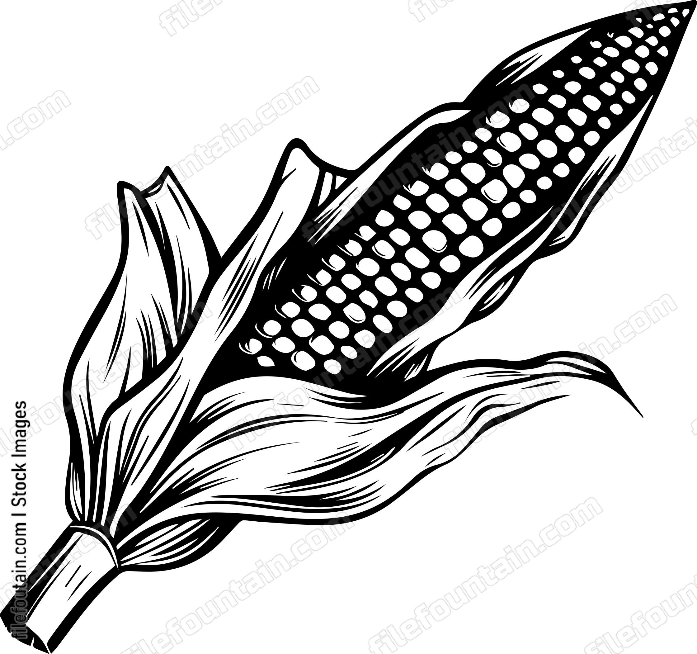 Corn