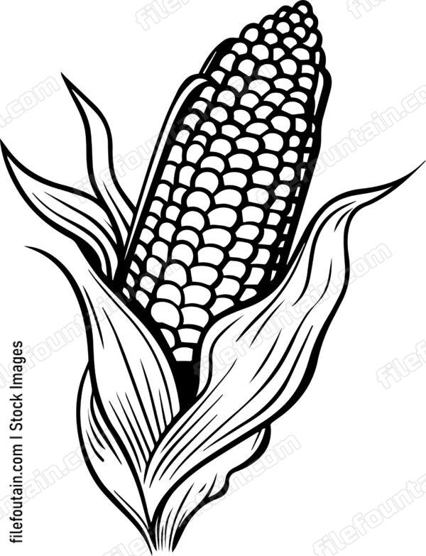 Corn