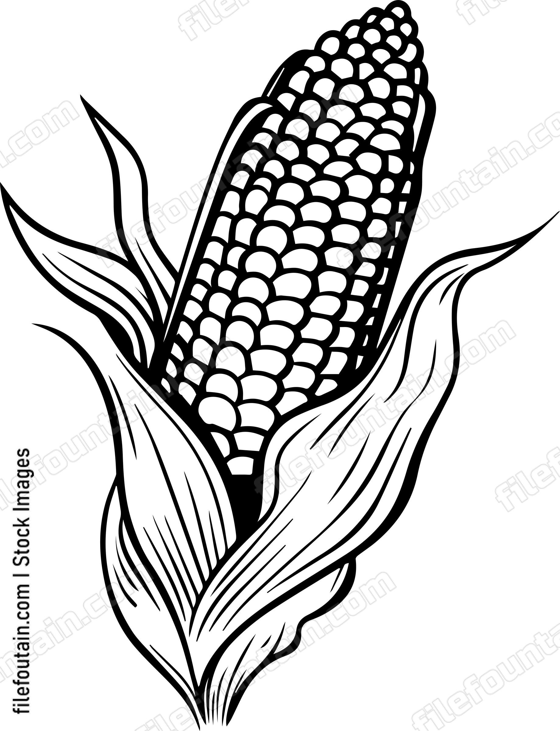 Corn