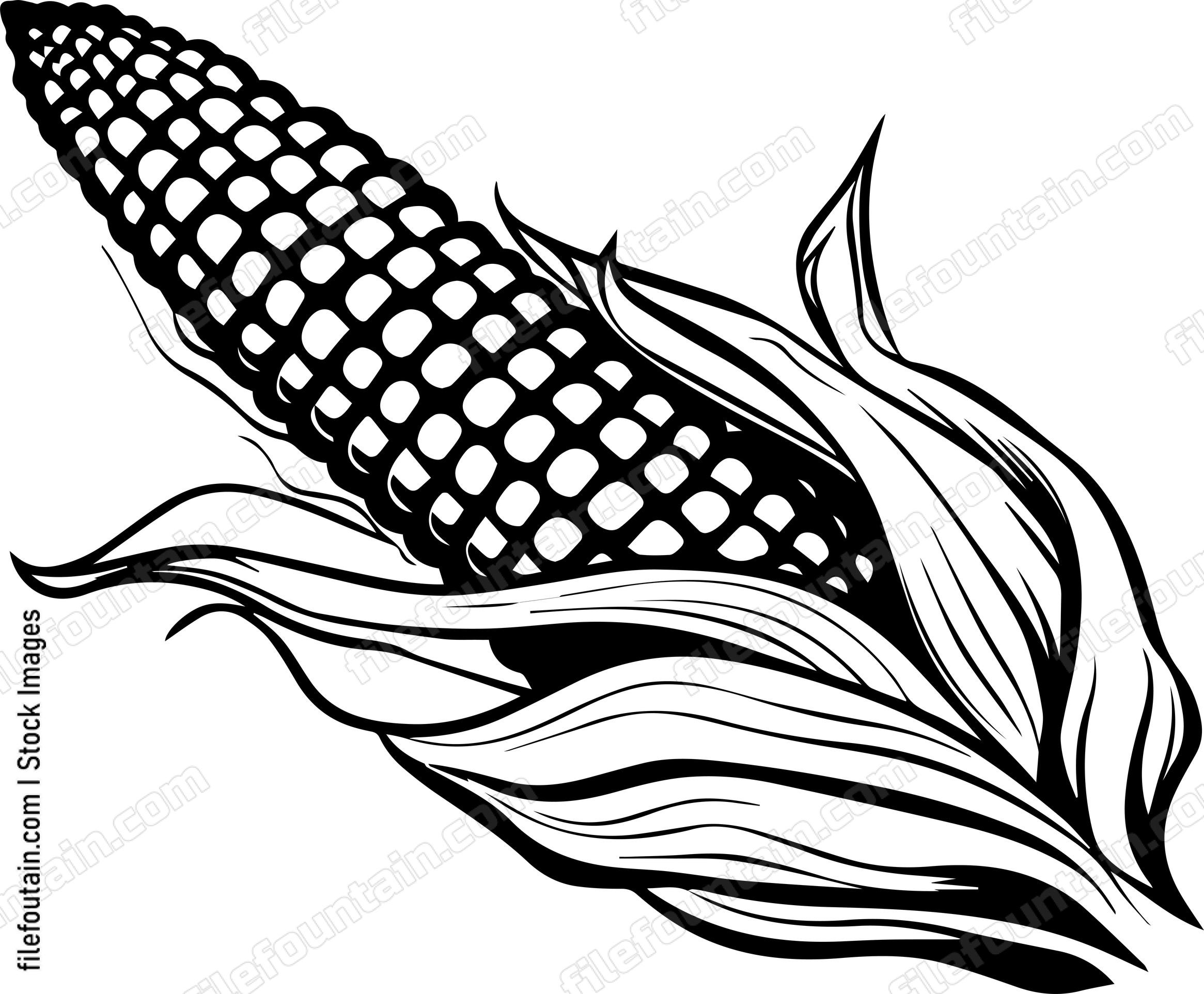 Corn