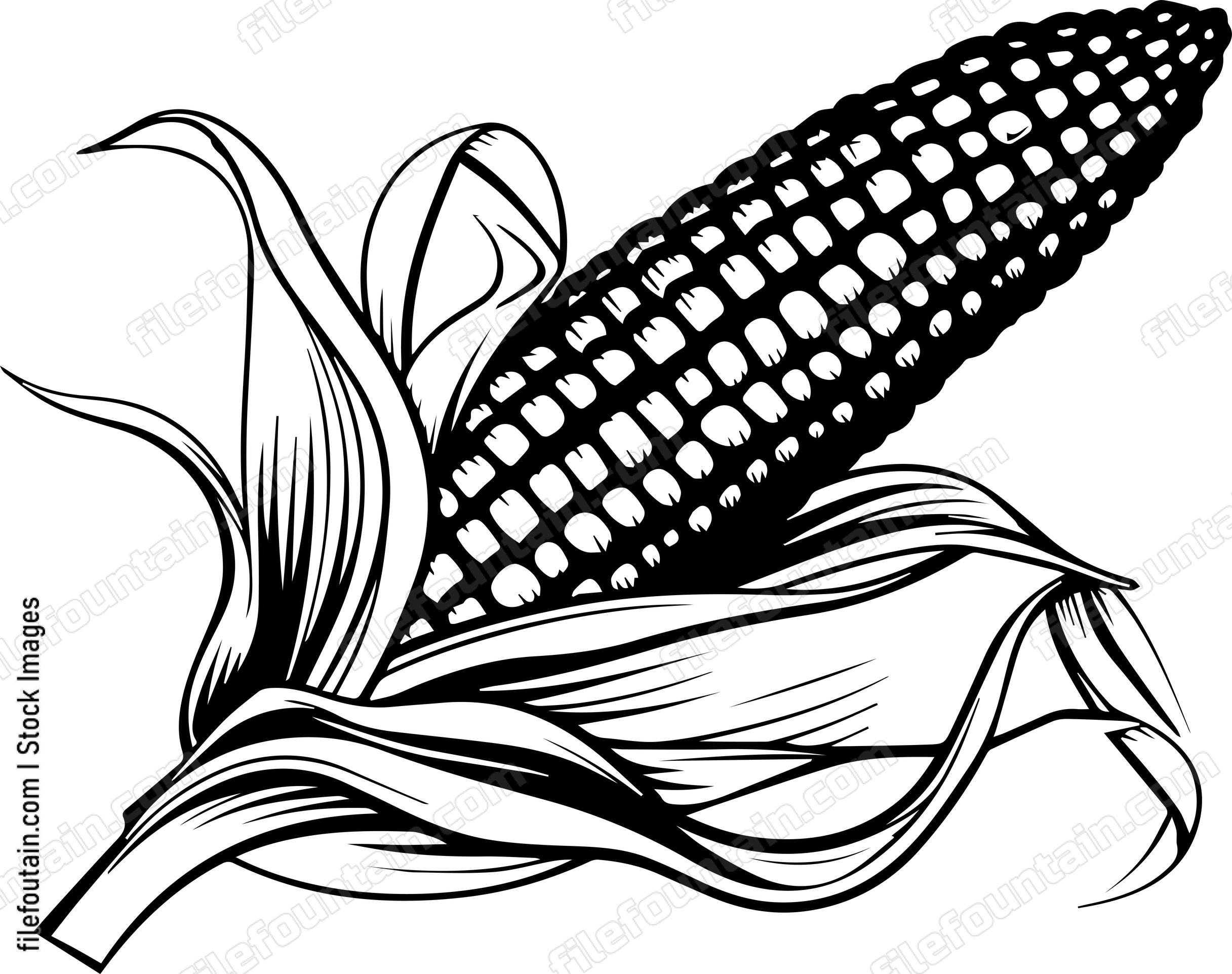 Corn