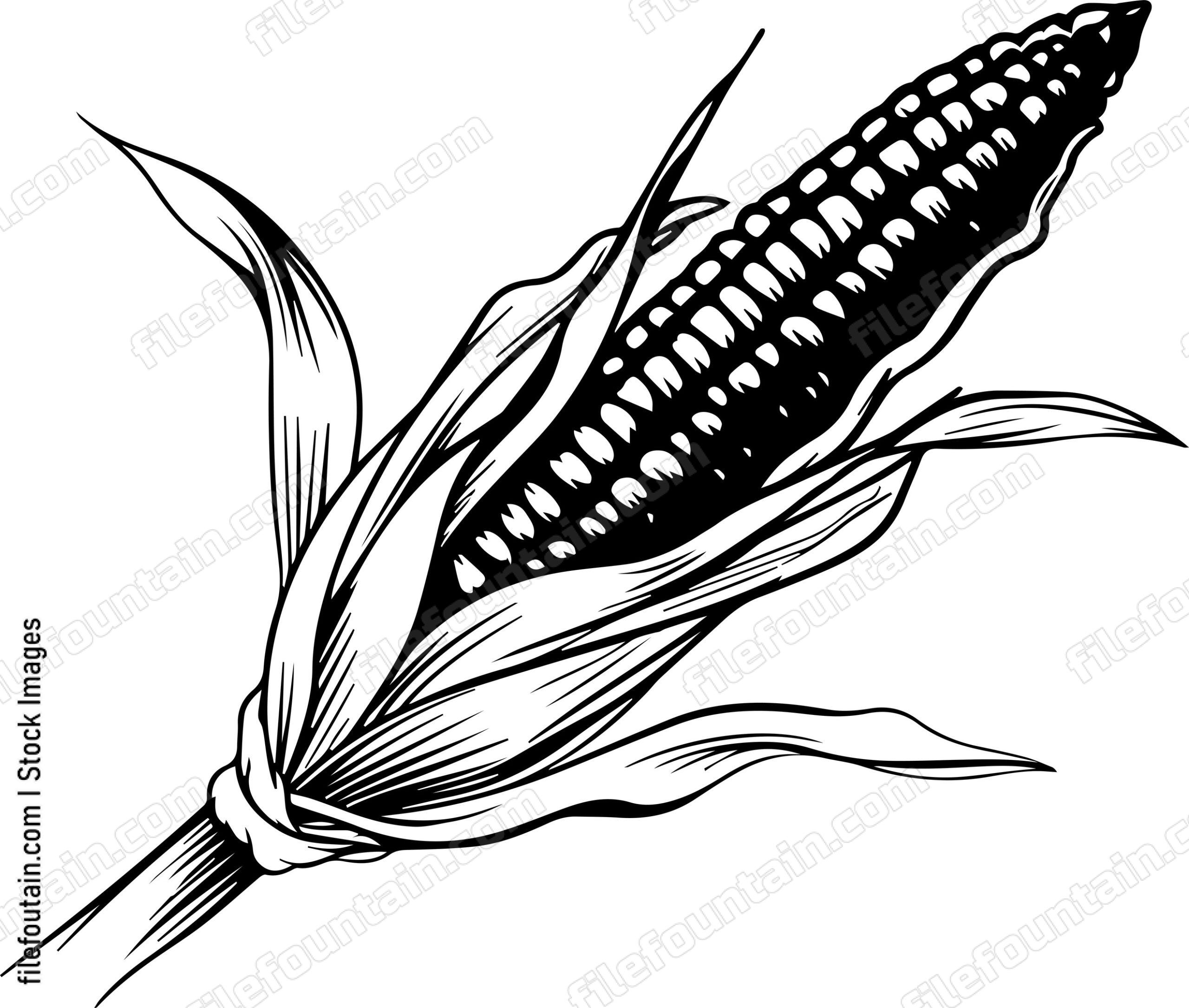 Corn