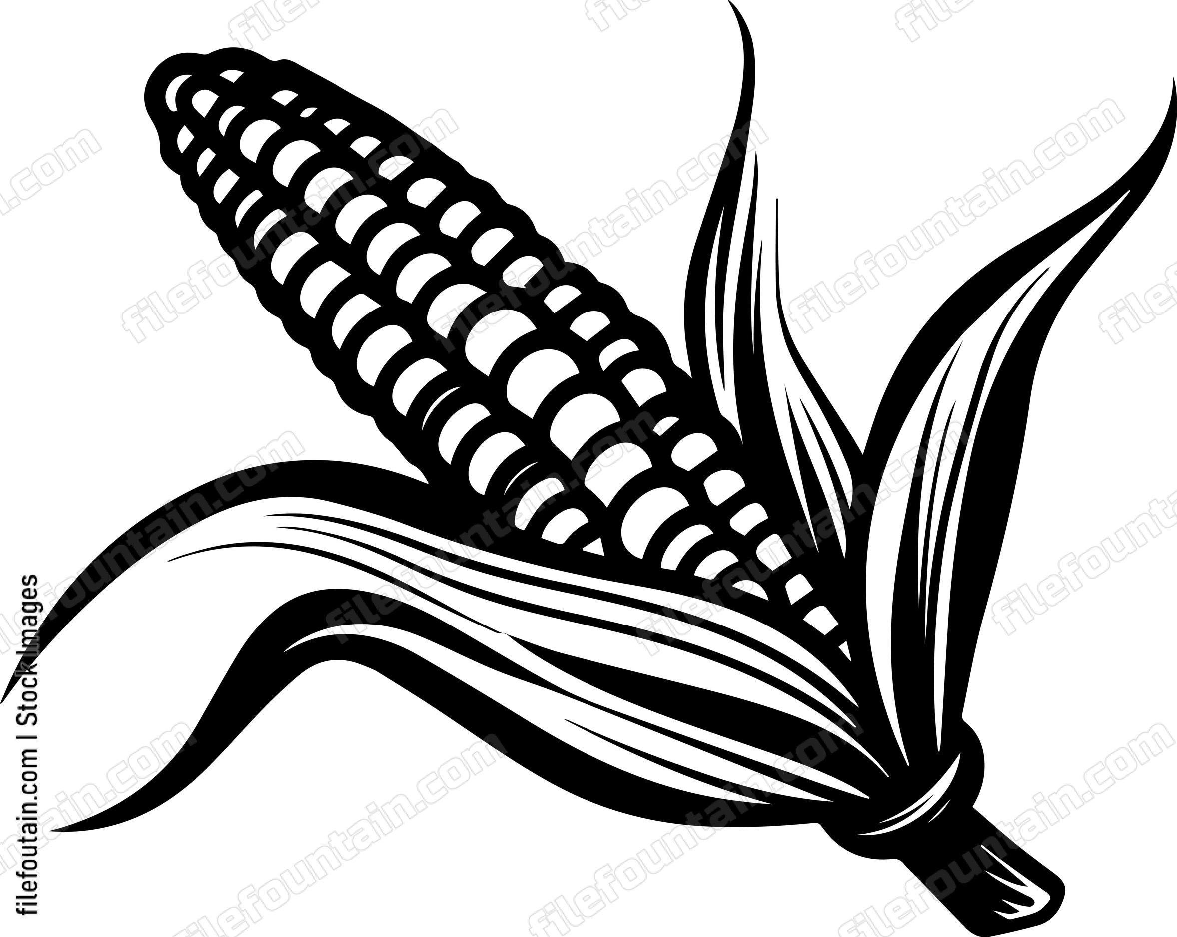 Corn