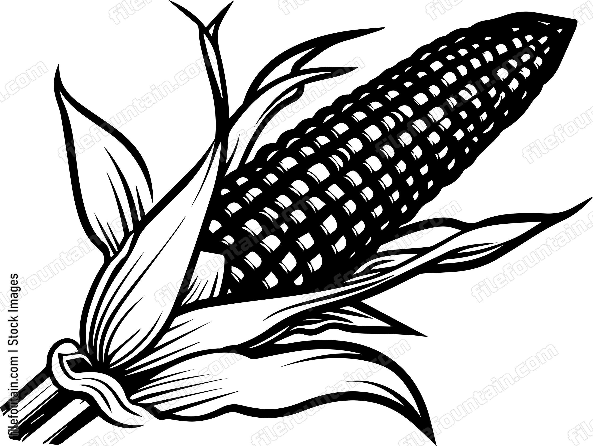 Corn