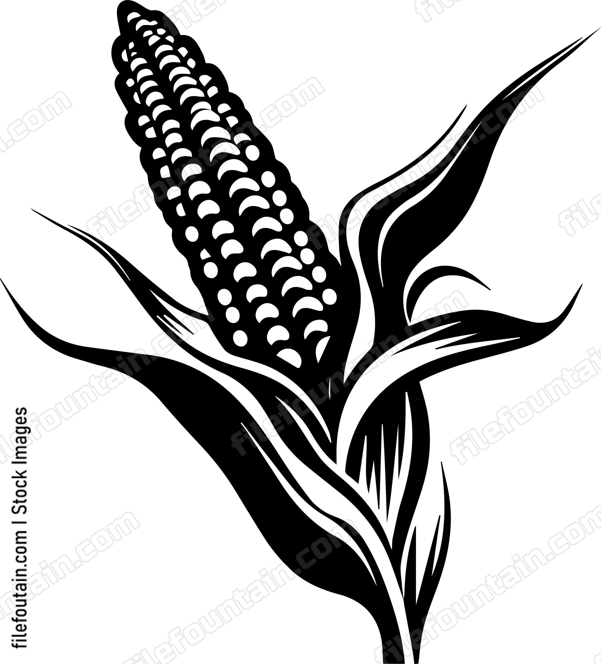 Corn