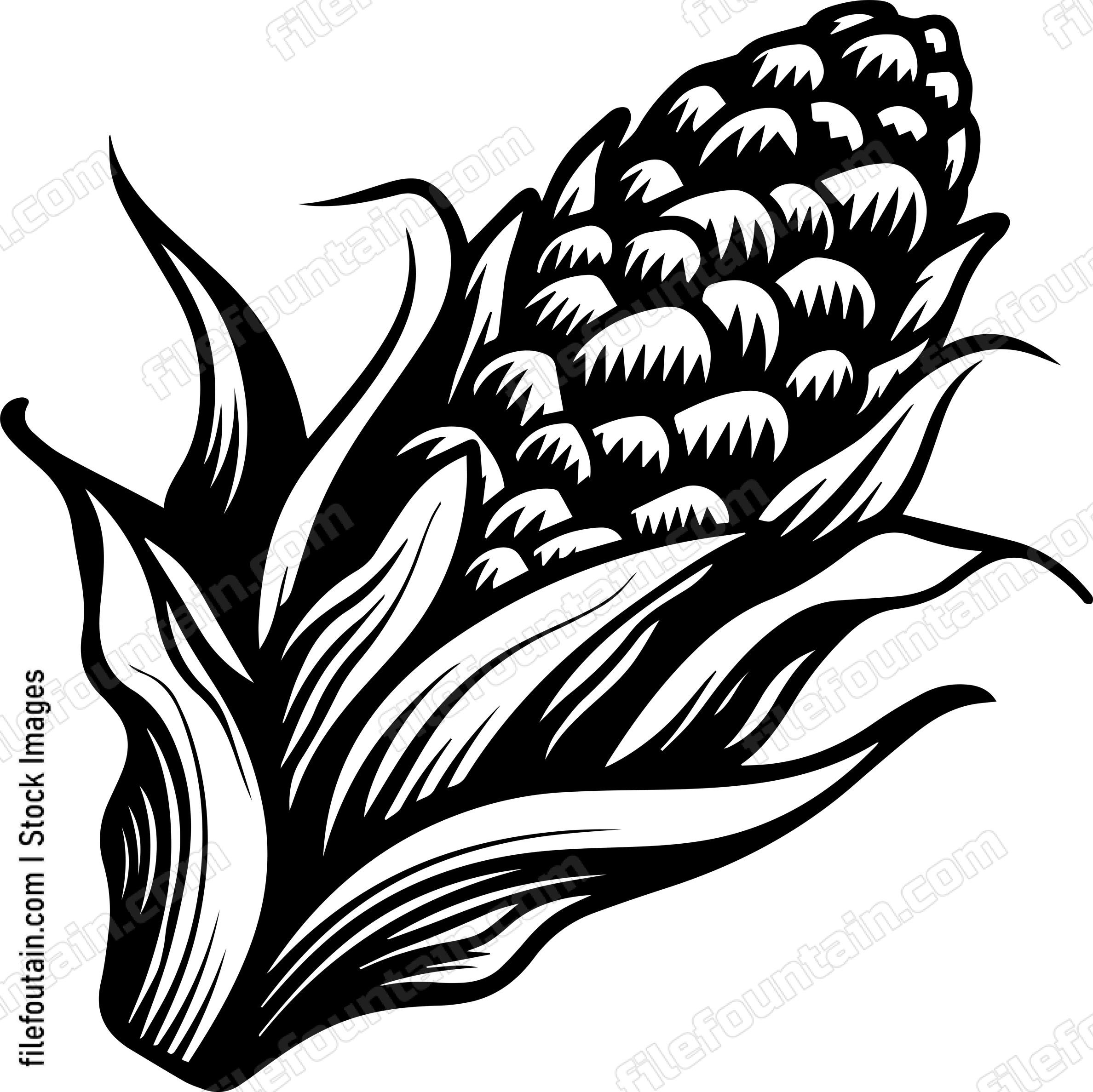 Corn