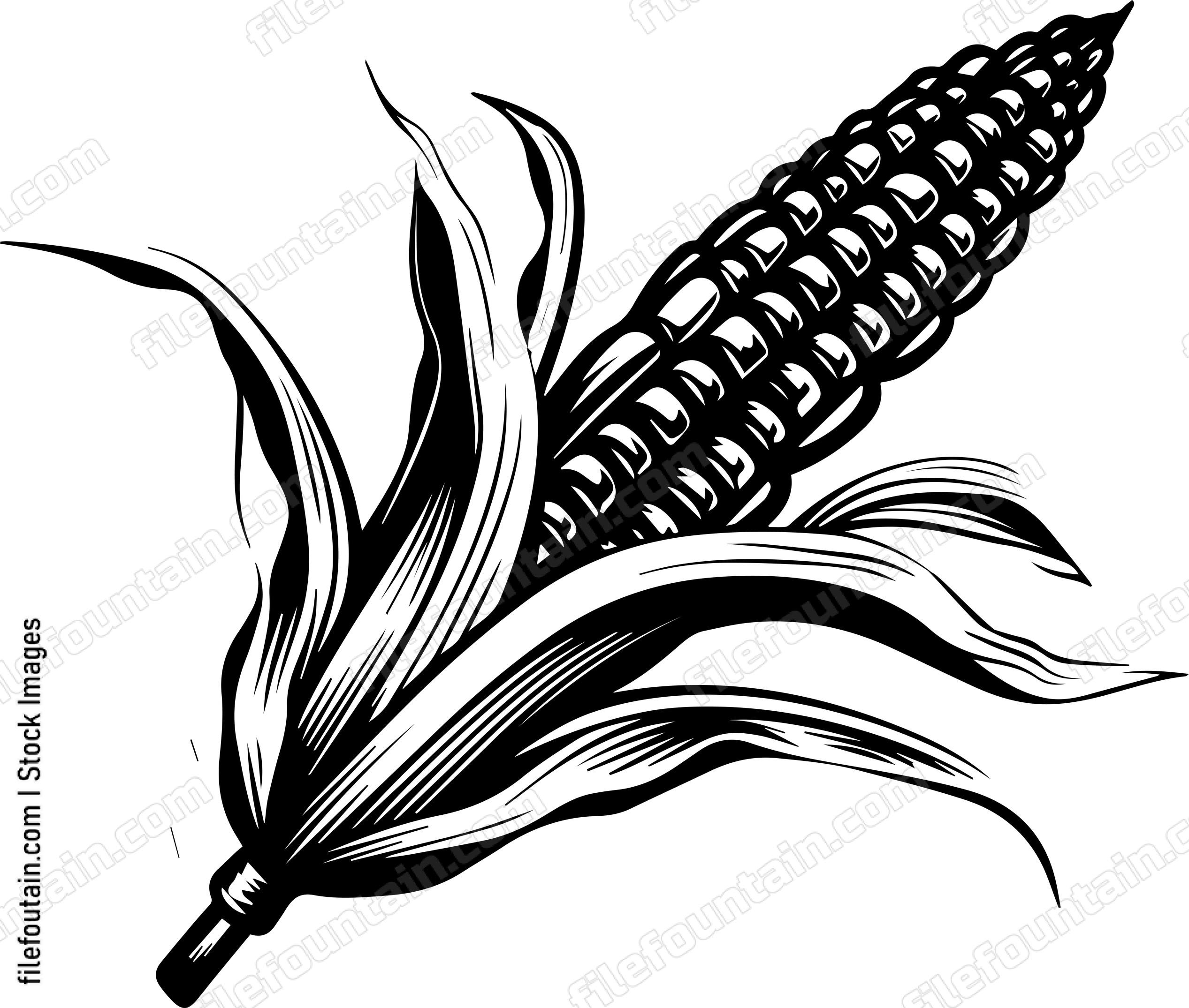 Corn