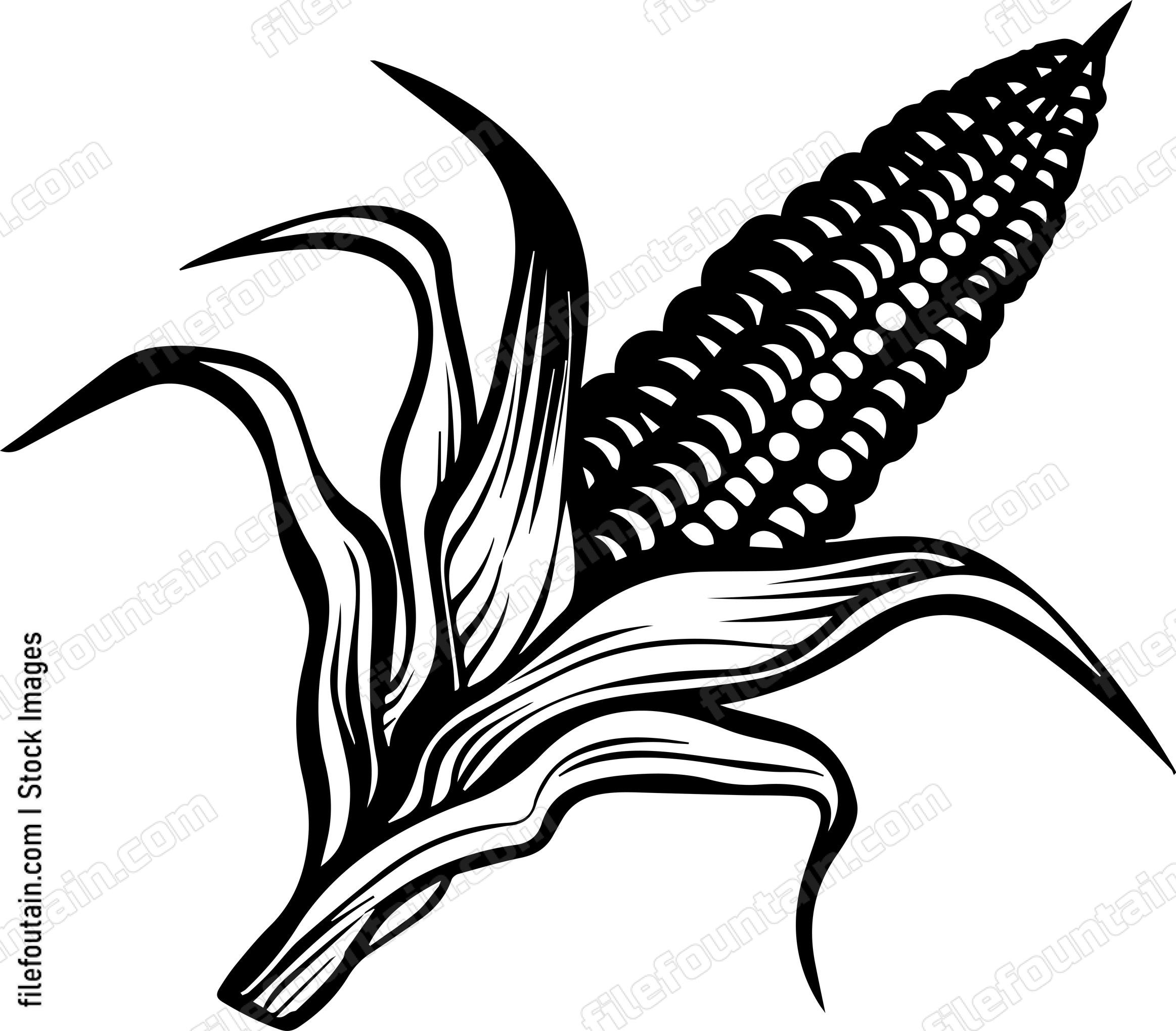 Corn