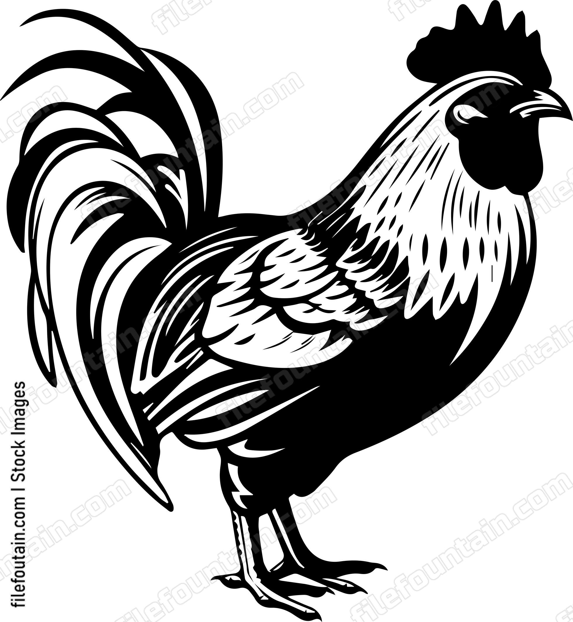 Cornish Chicken