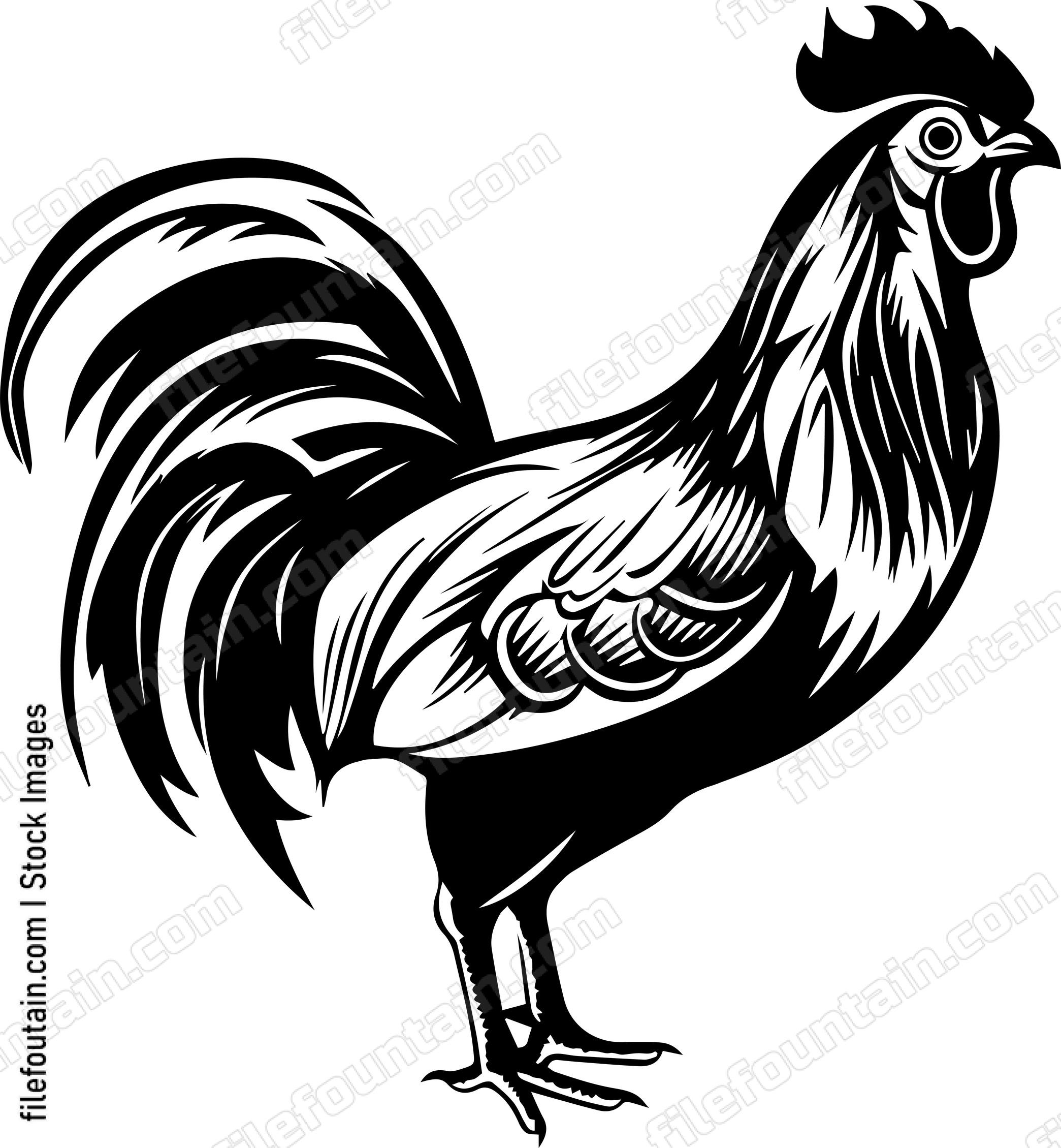 Cornish Chicken