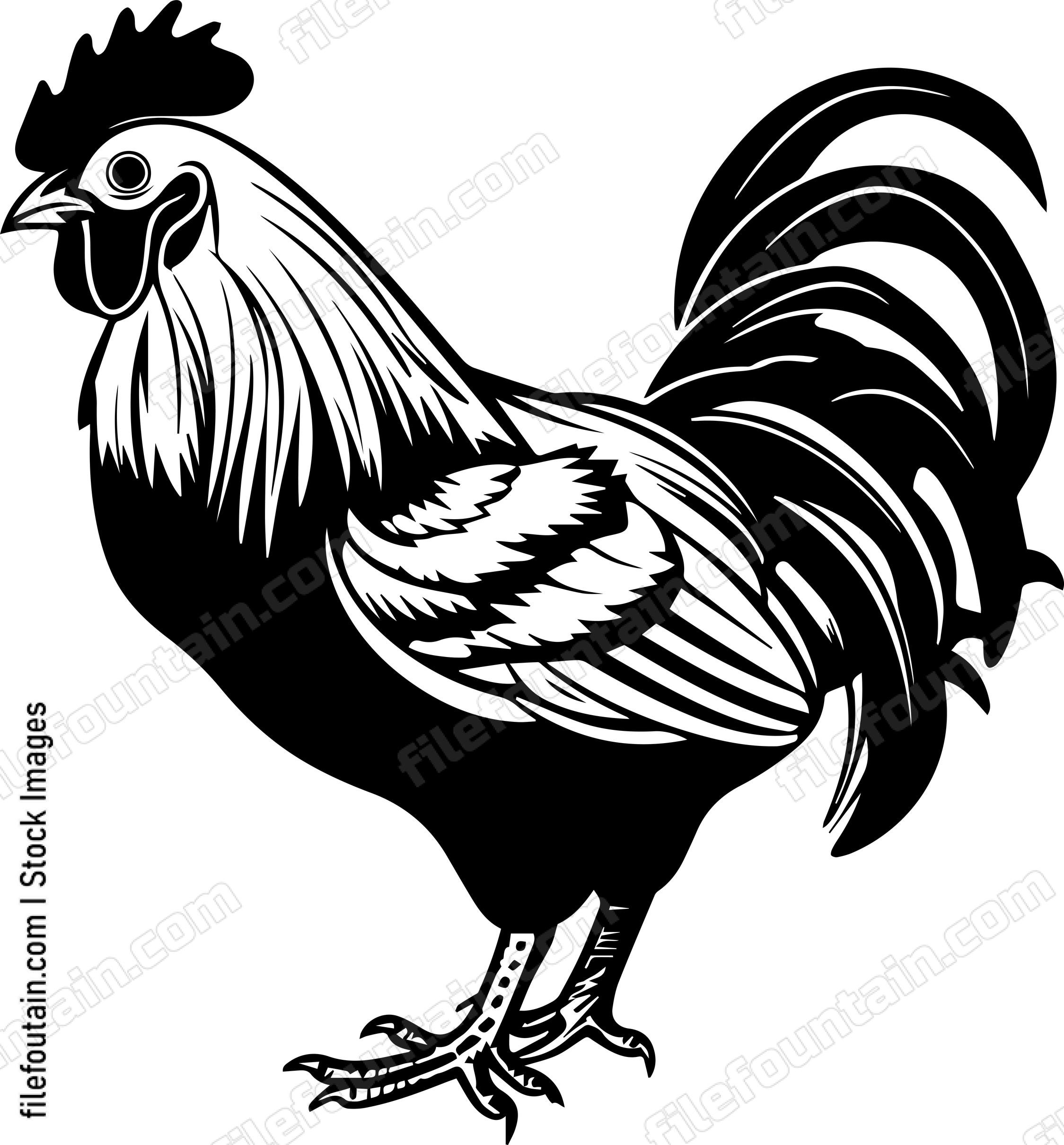 Cornish Chicken