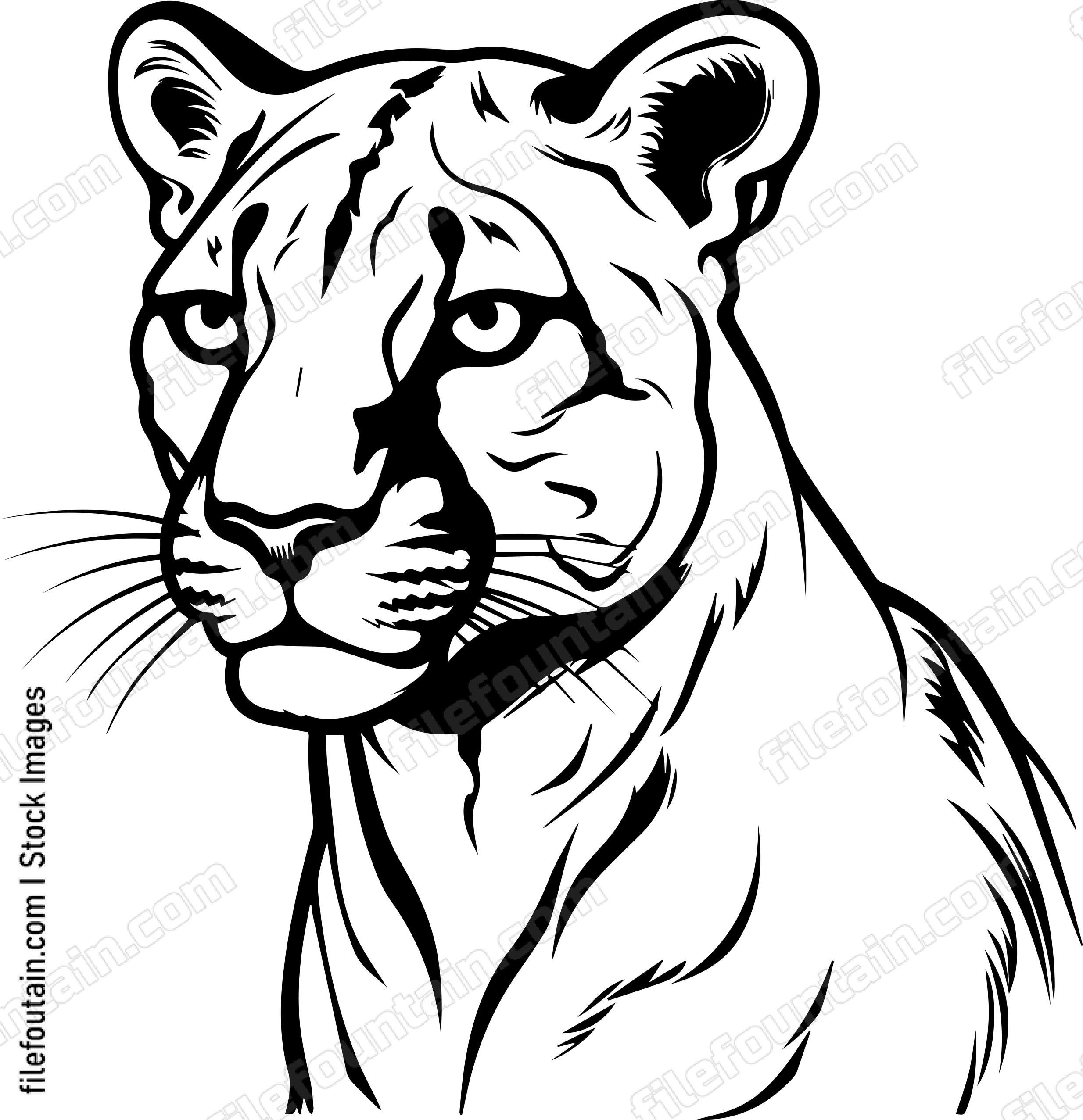 Cougar