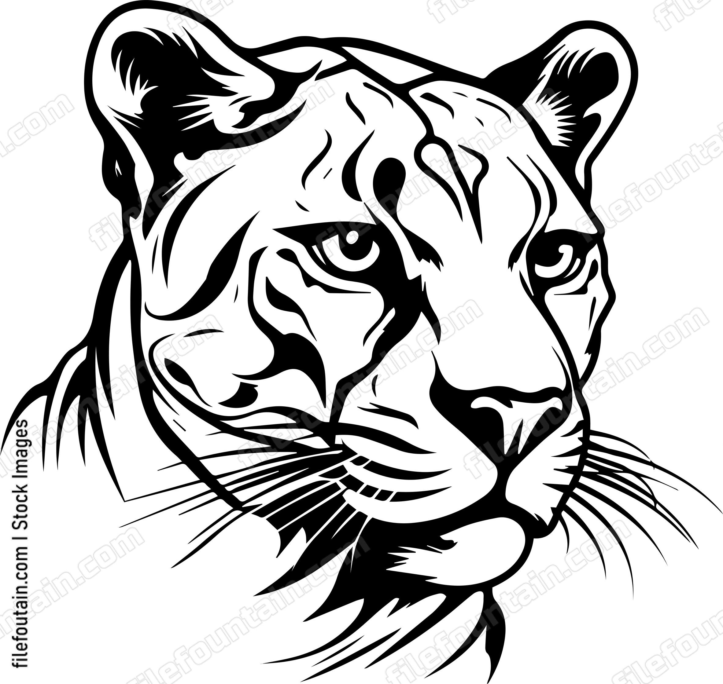 Cougar