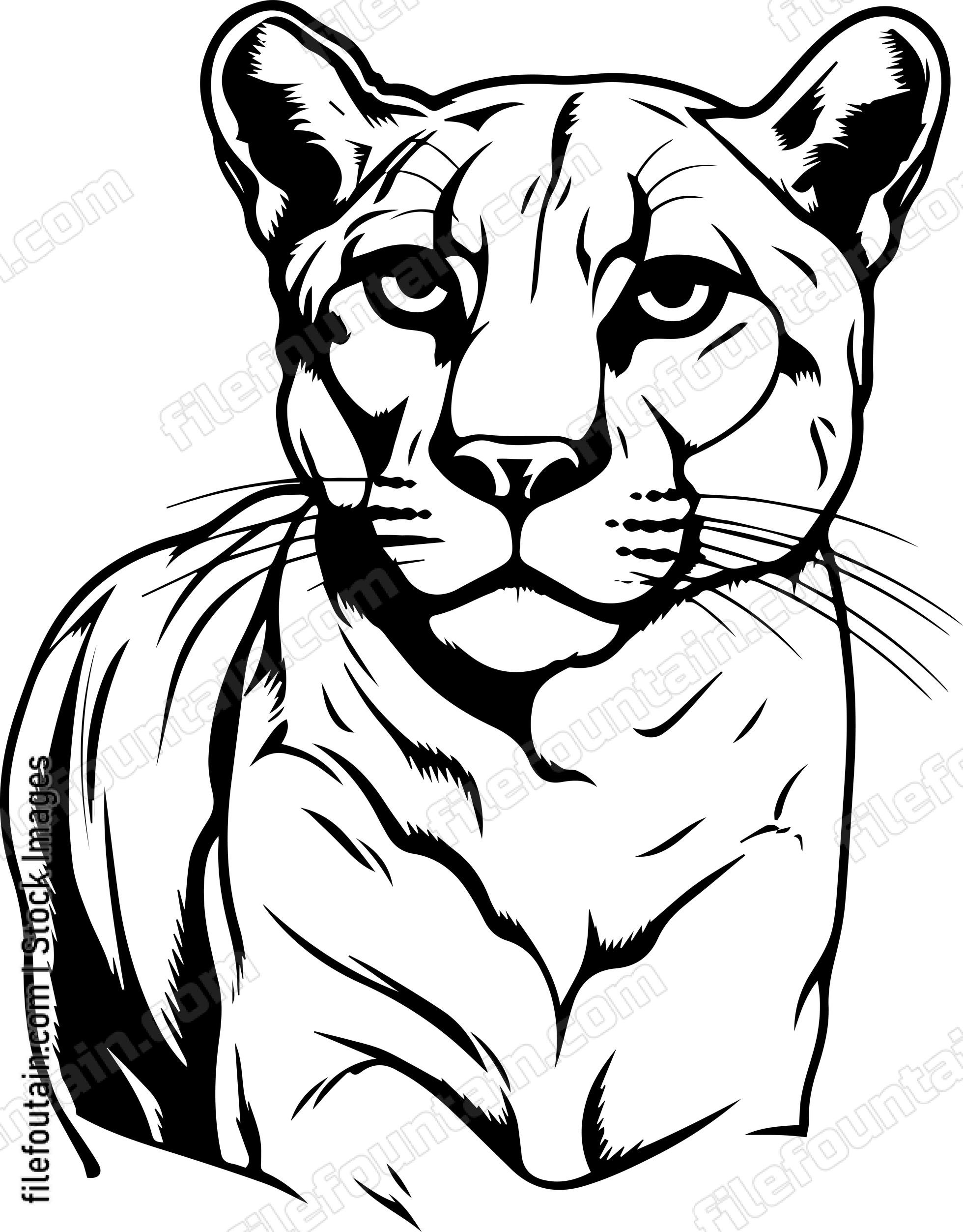 Cougar