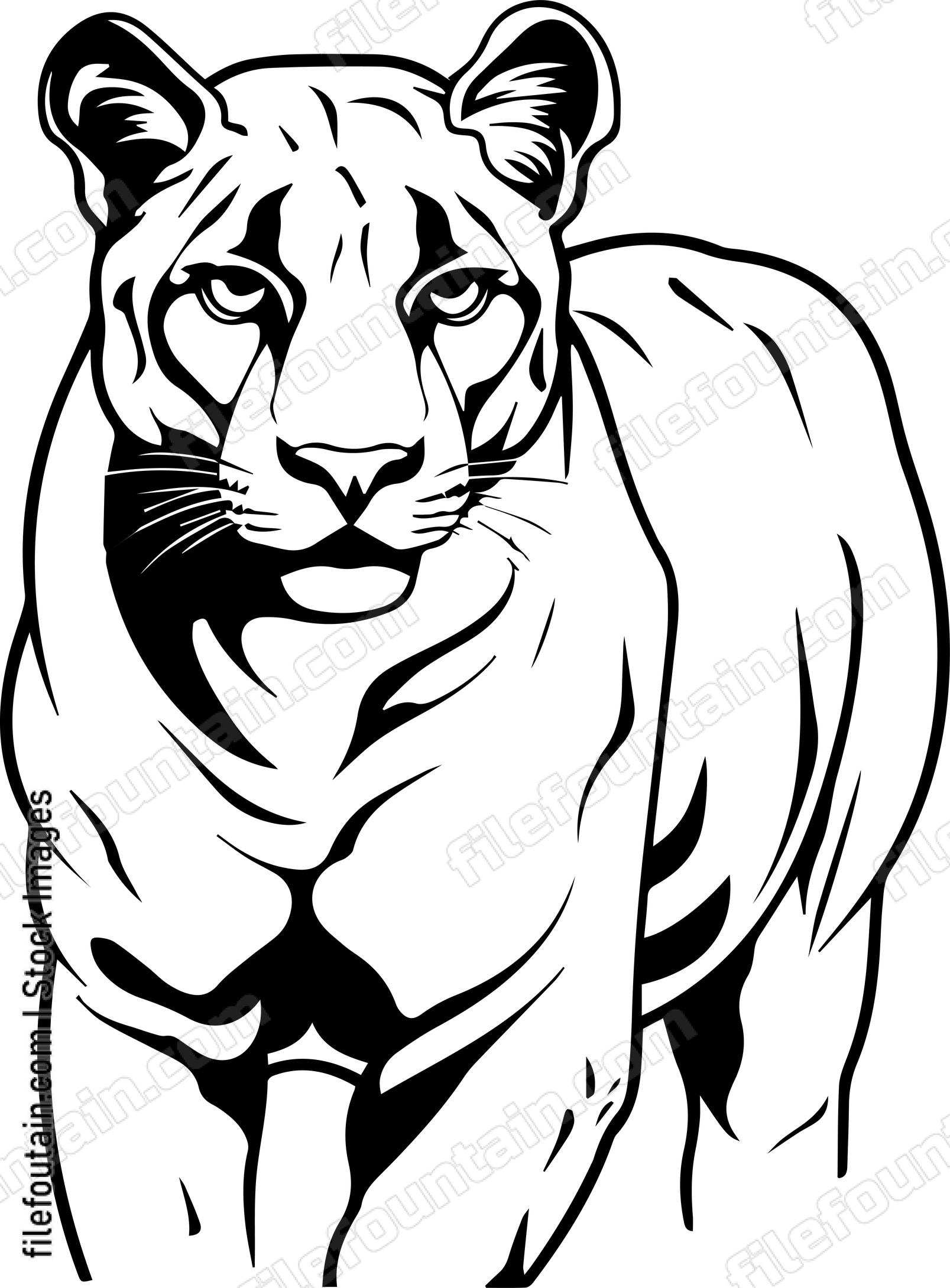 Cougar