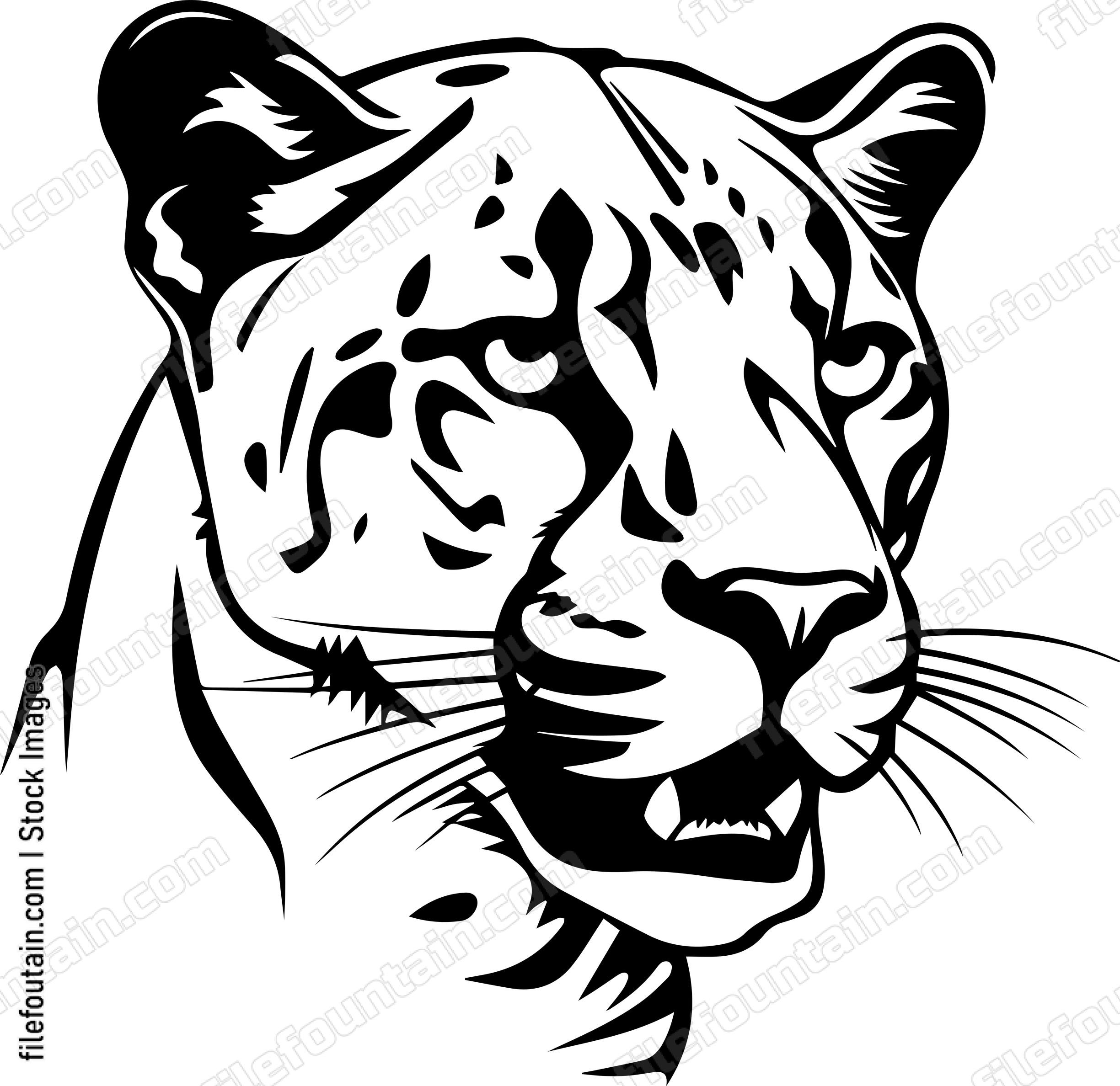 Cougar