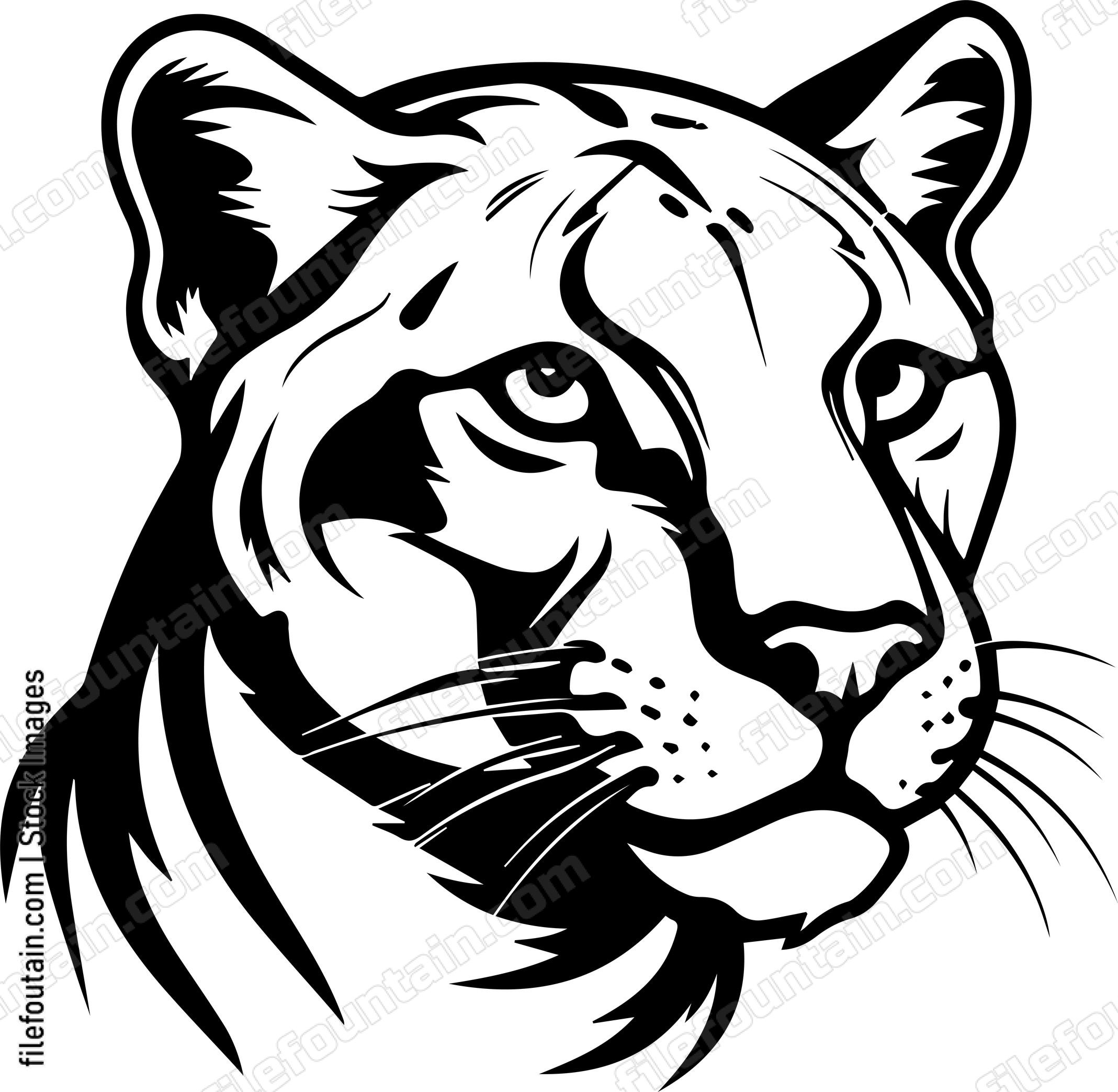 Cougar