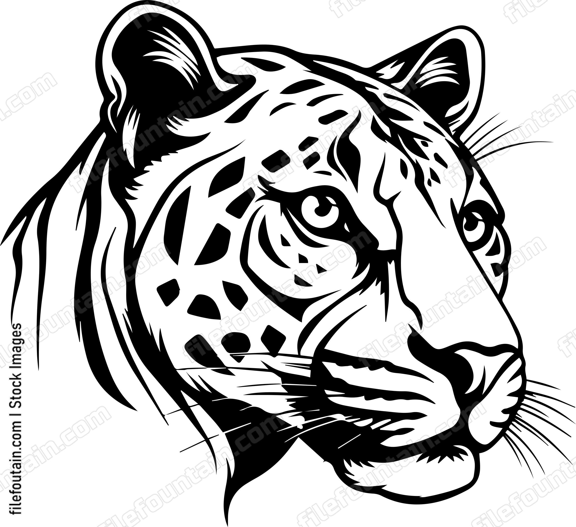 Cougar