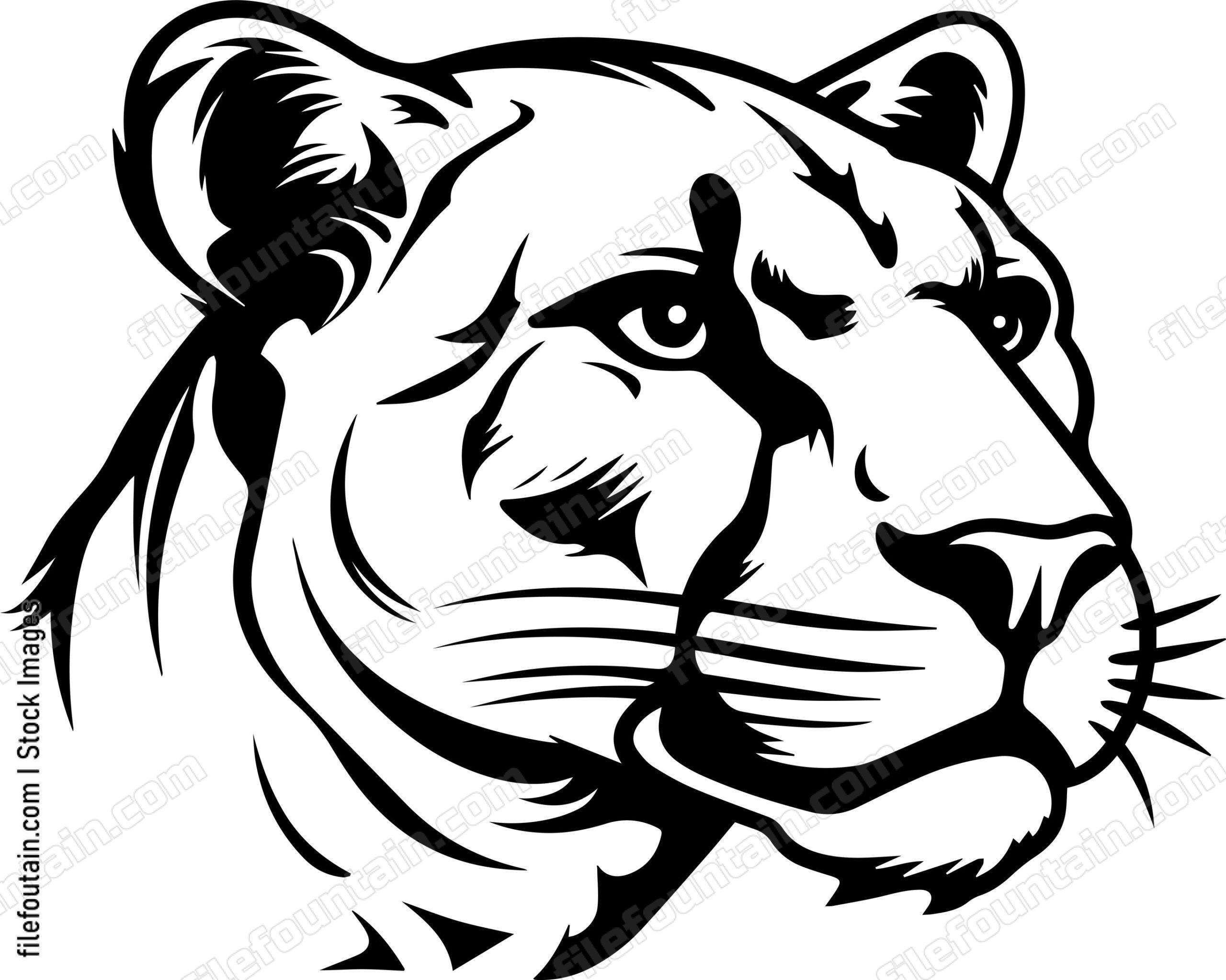 Cougar