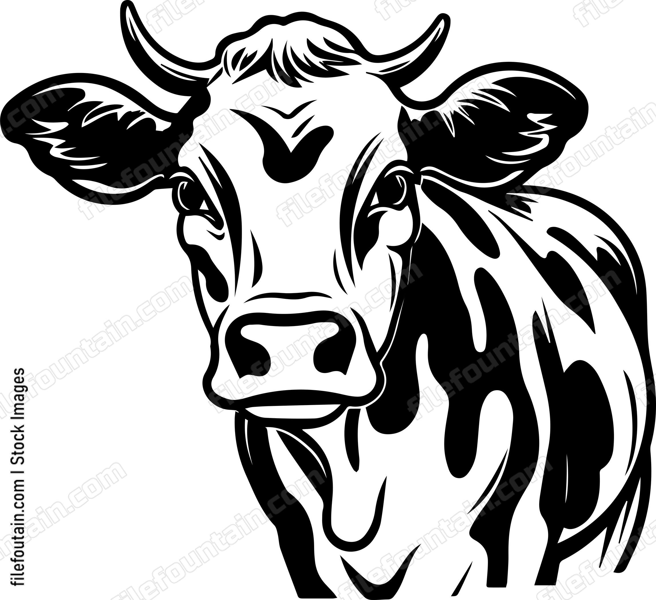 Cow