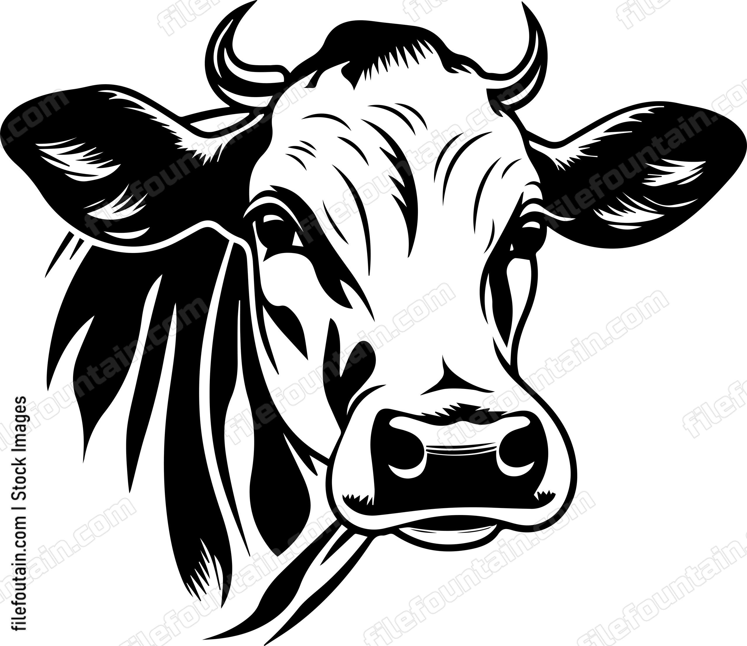Cow Face