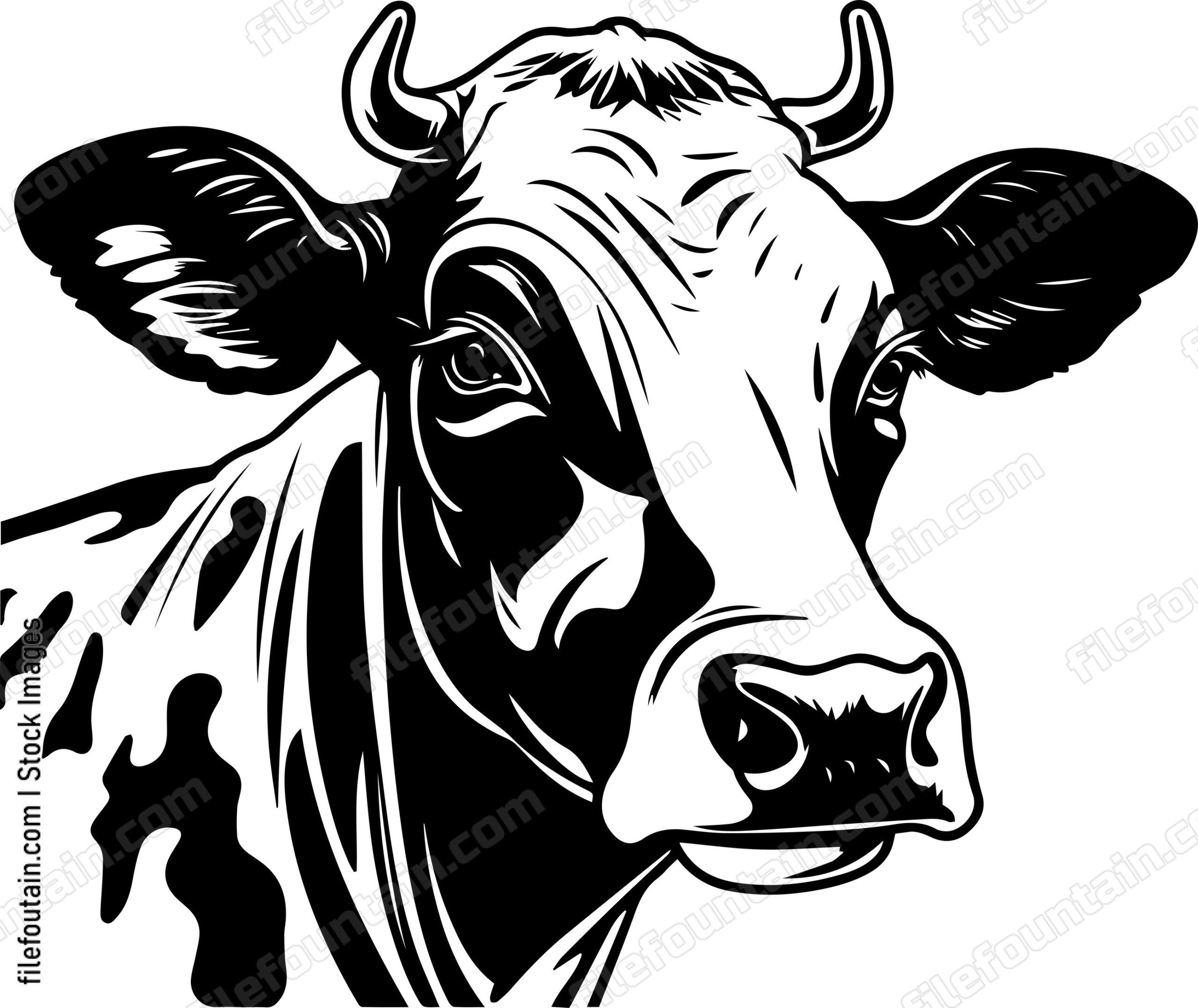 Cow Face