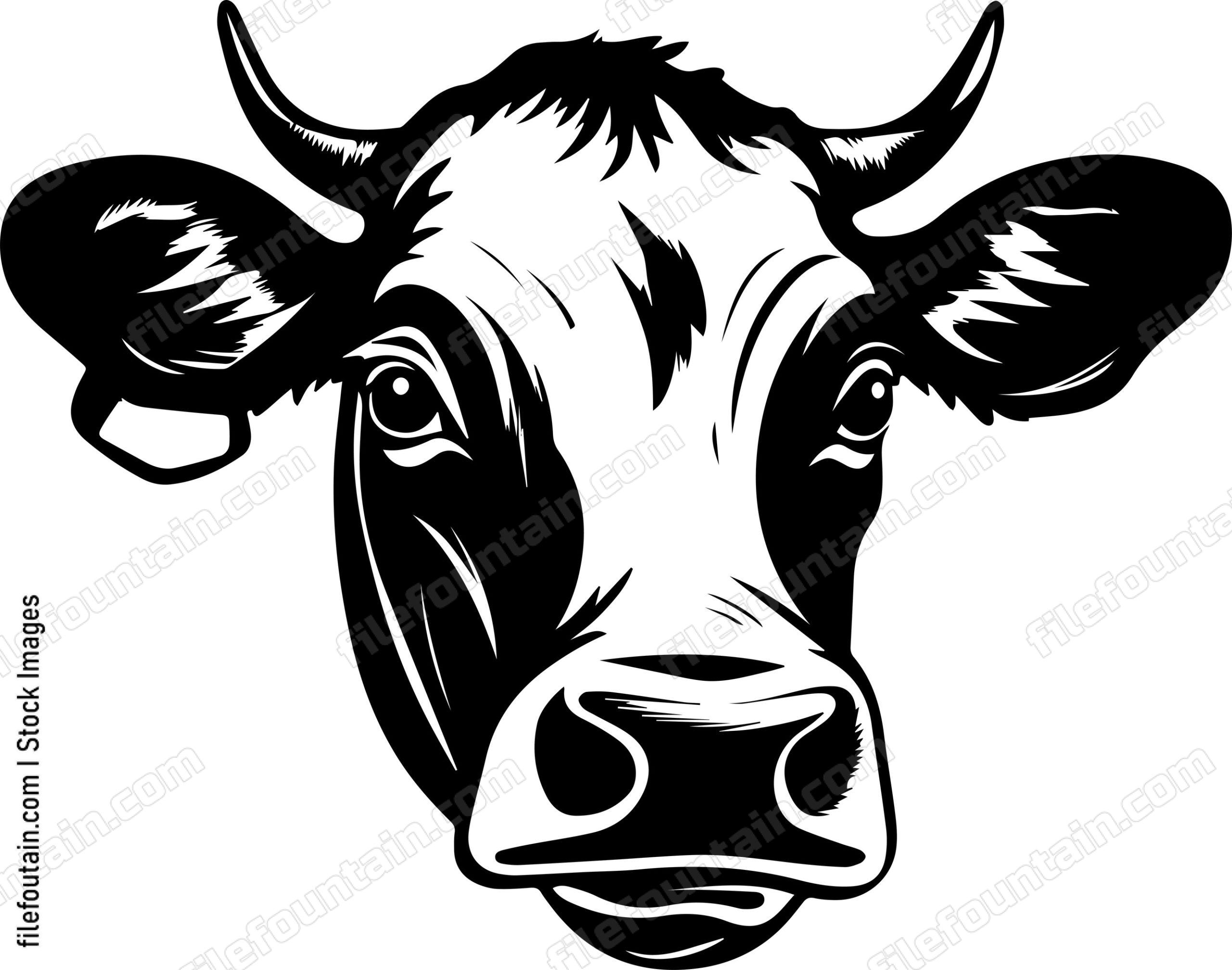 Cow Face